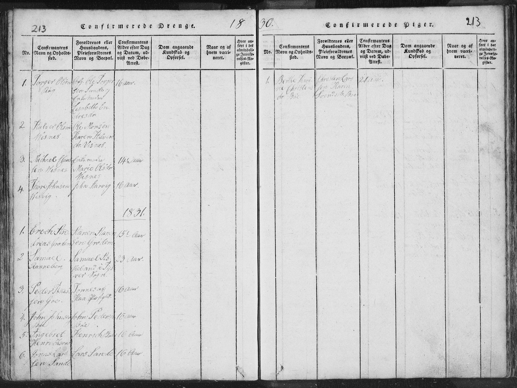 Hetland sokneprestkontor, SAST/A-101826/30/30BA/L0001: Parish register (official) no. A 1, 1816-1856, p. 213