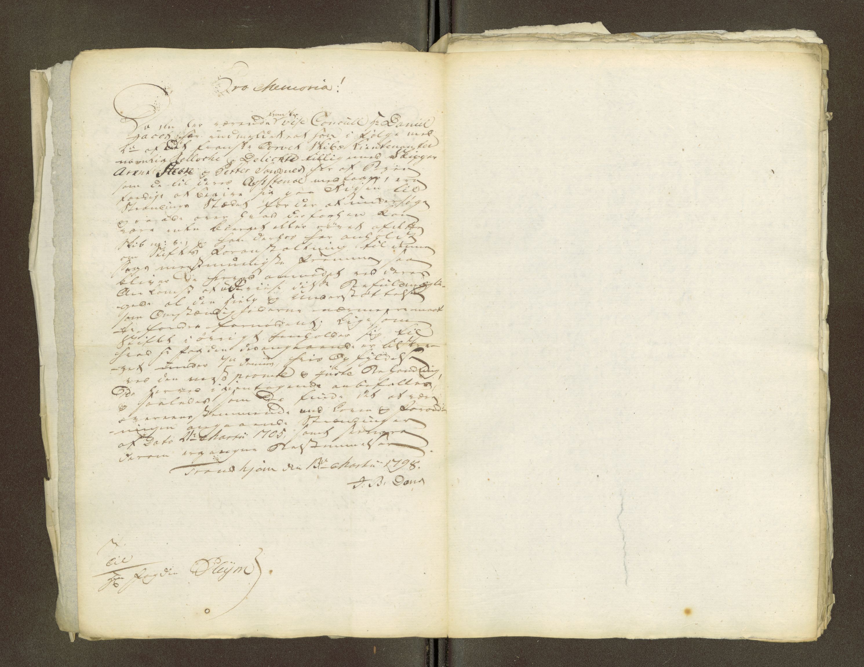 Namdal sorenskriveri, AV/SAT-A-4133/1/1/1O/1Oa/L0007: Sivile og offentlige saker, 1798, p. 217