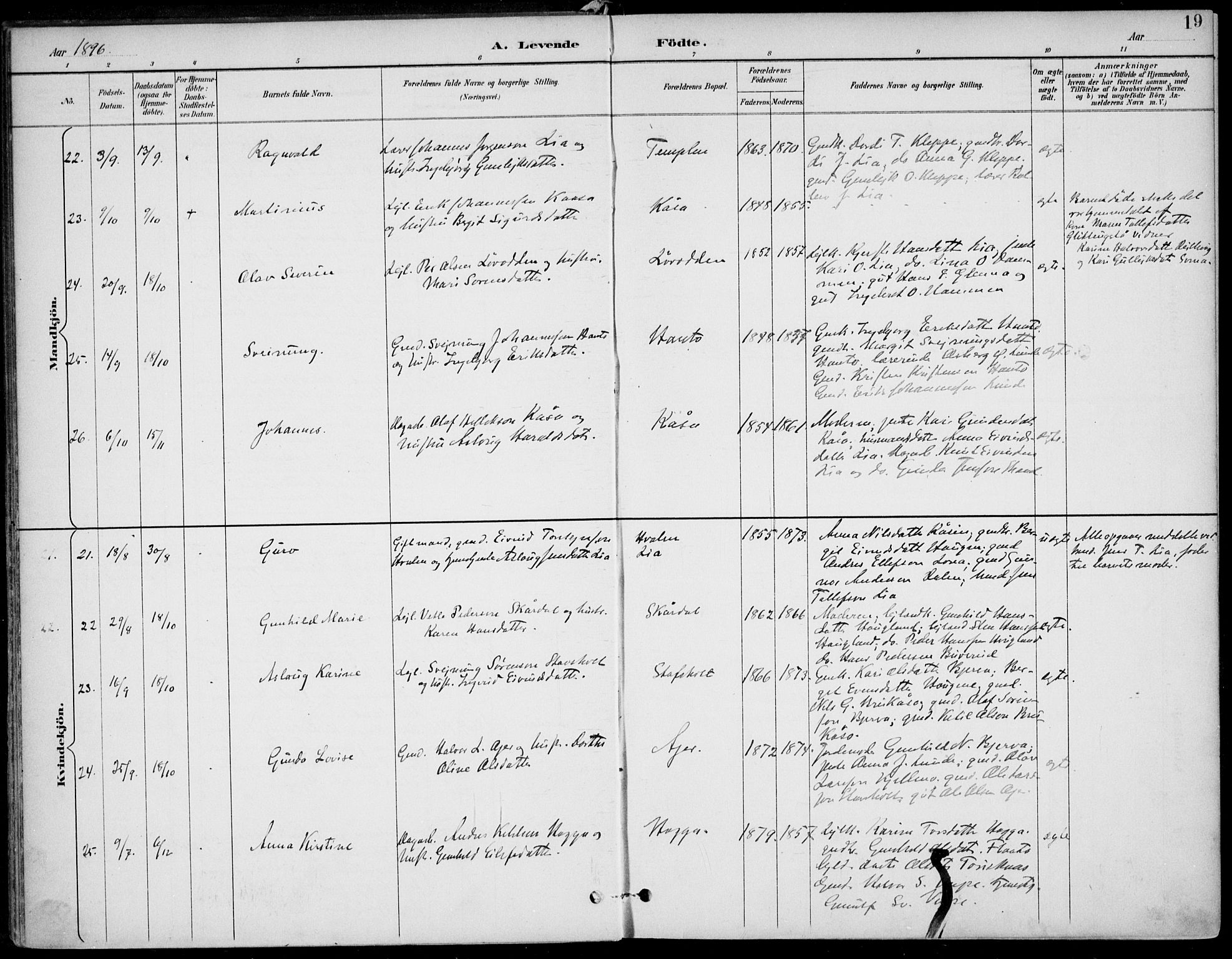 Lunde kirkebøker, SAKO/A-282/F/Fa/L0003: Parish register (official) no. I 3, 1893-1902, p. 19
