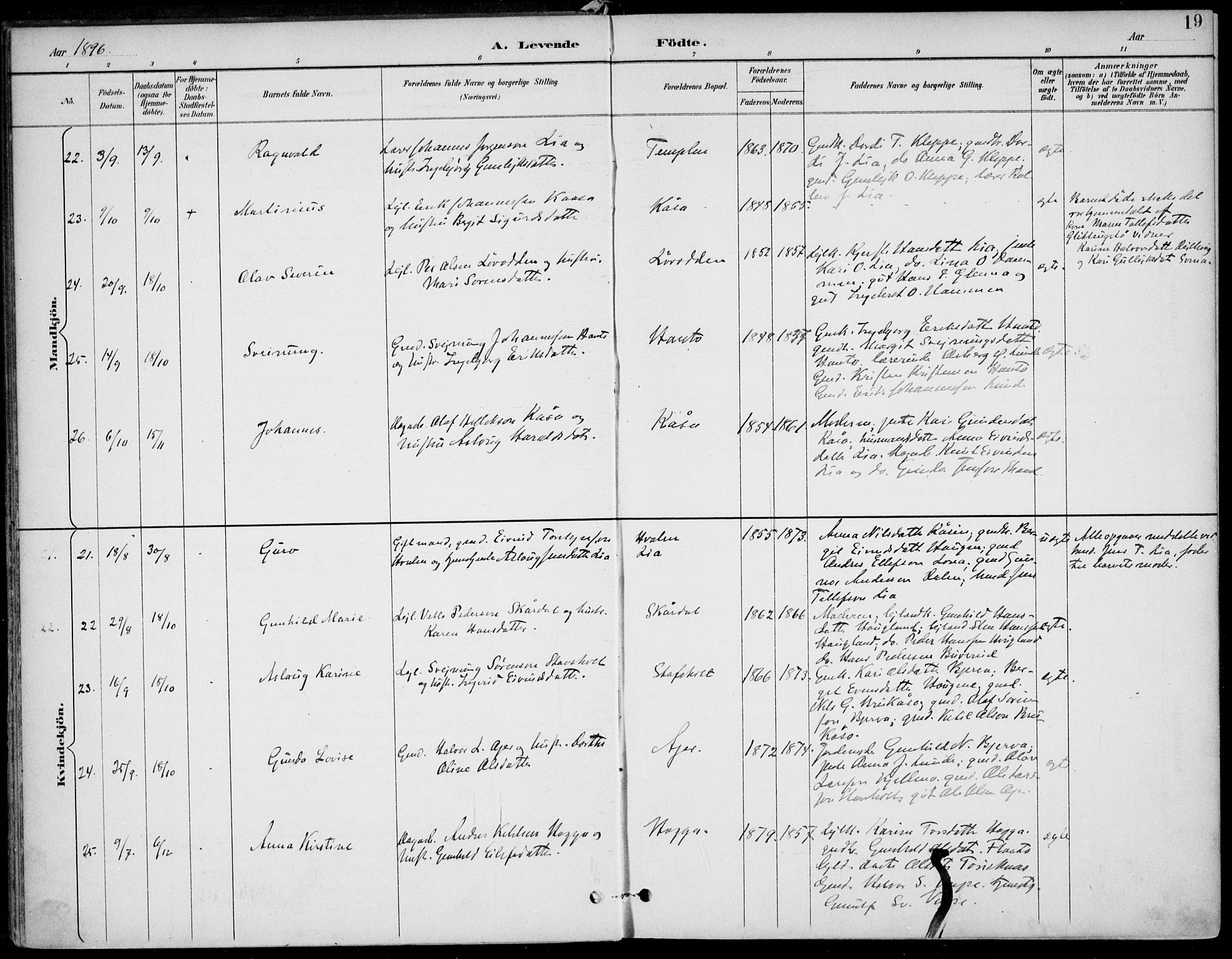 Lunde kirkebøker, AV/SAKO-A-282/F/Fa/L0003: Parish register (official) no. I 3, 1893-1902, p. 19