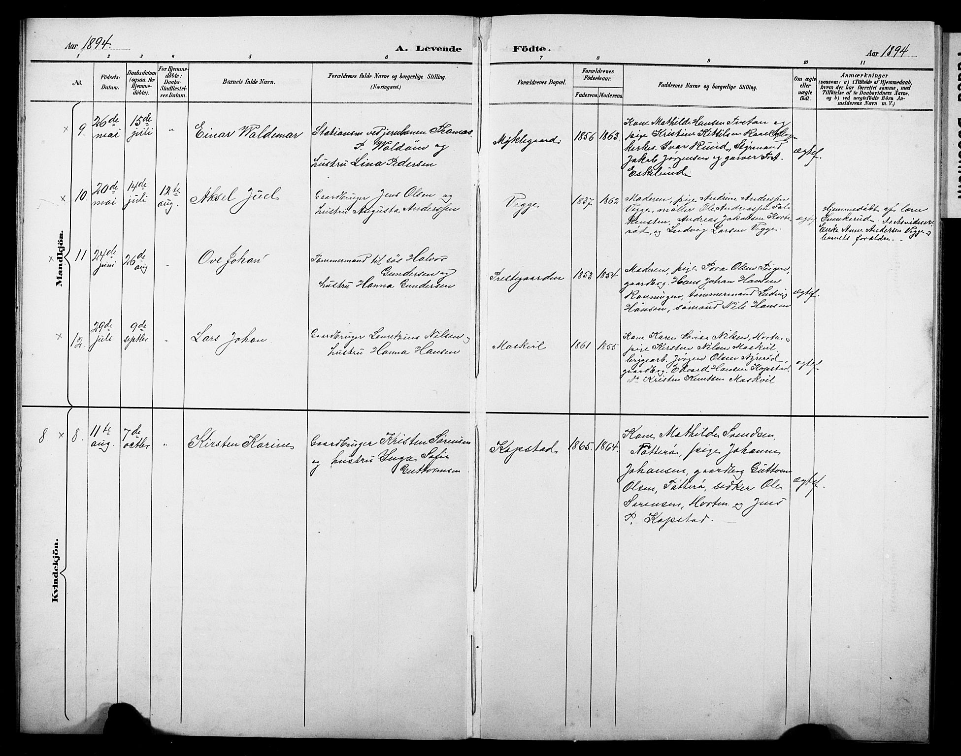 Borre kirkebøker, AV/SAKO-A-338/G/Gb/L0003: Parish register (copy) no. II 3, 1893-1905