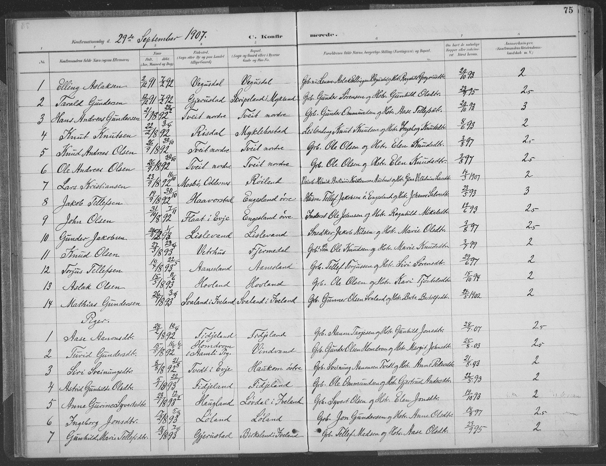 Herefoss sokneprestkontor, SAK/1111-0019/F/Fa/Fab/L0004: Parish register (official) no. A 4, 1887-1909, p. 75