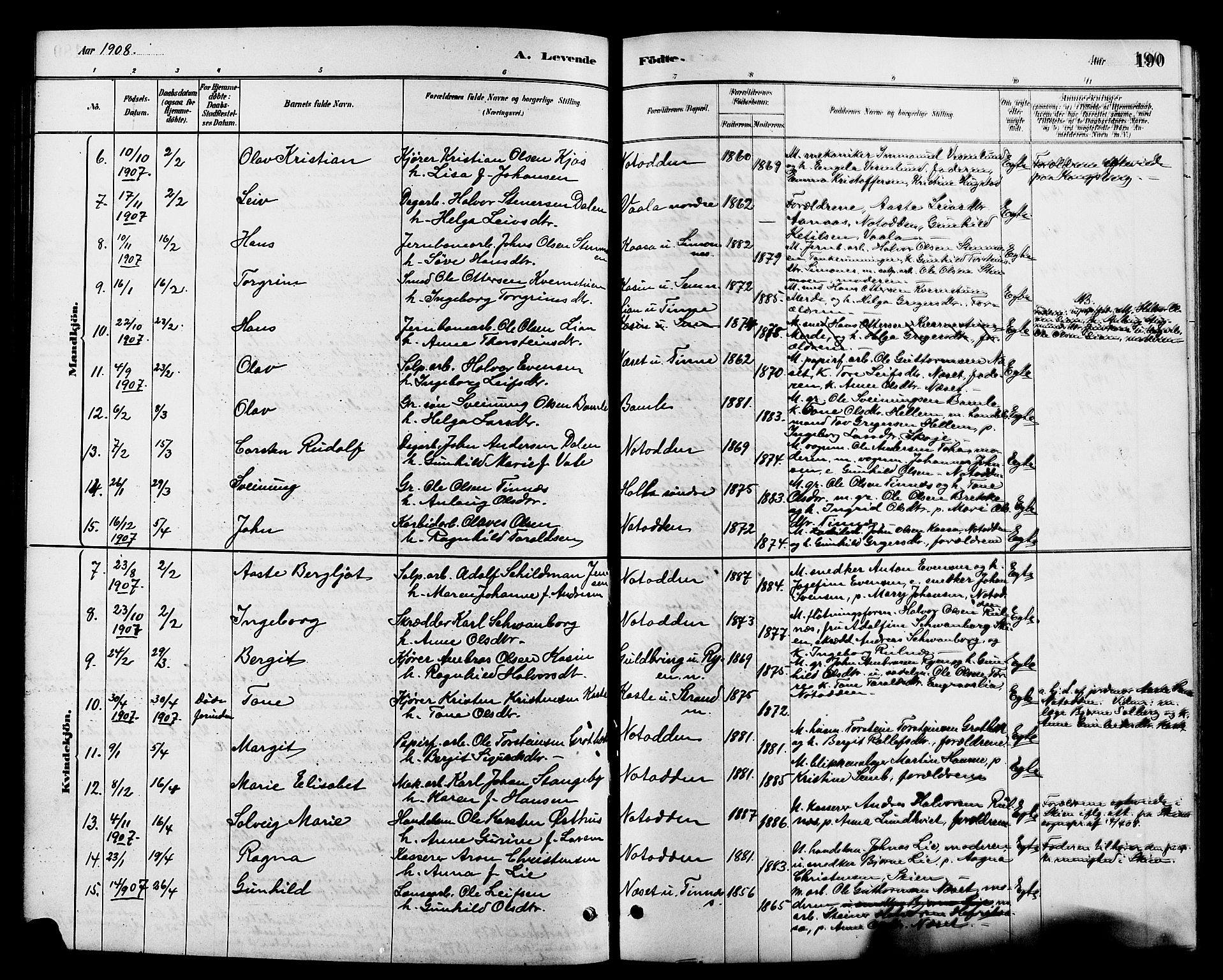 Heddal kirkebøker, SAKO/A-268/G/Ga/L0002: Parish register (copy) no. I 2, 1879-1908, p. 190