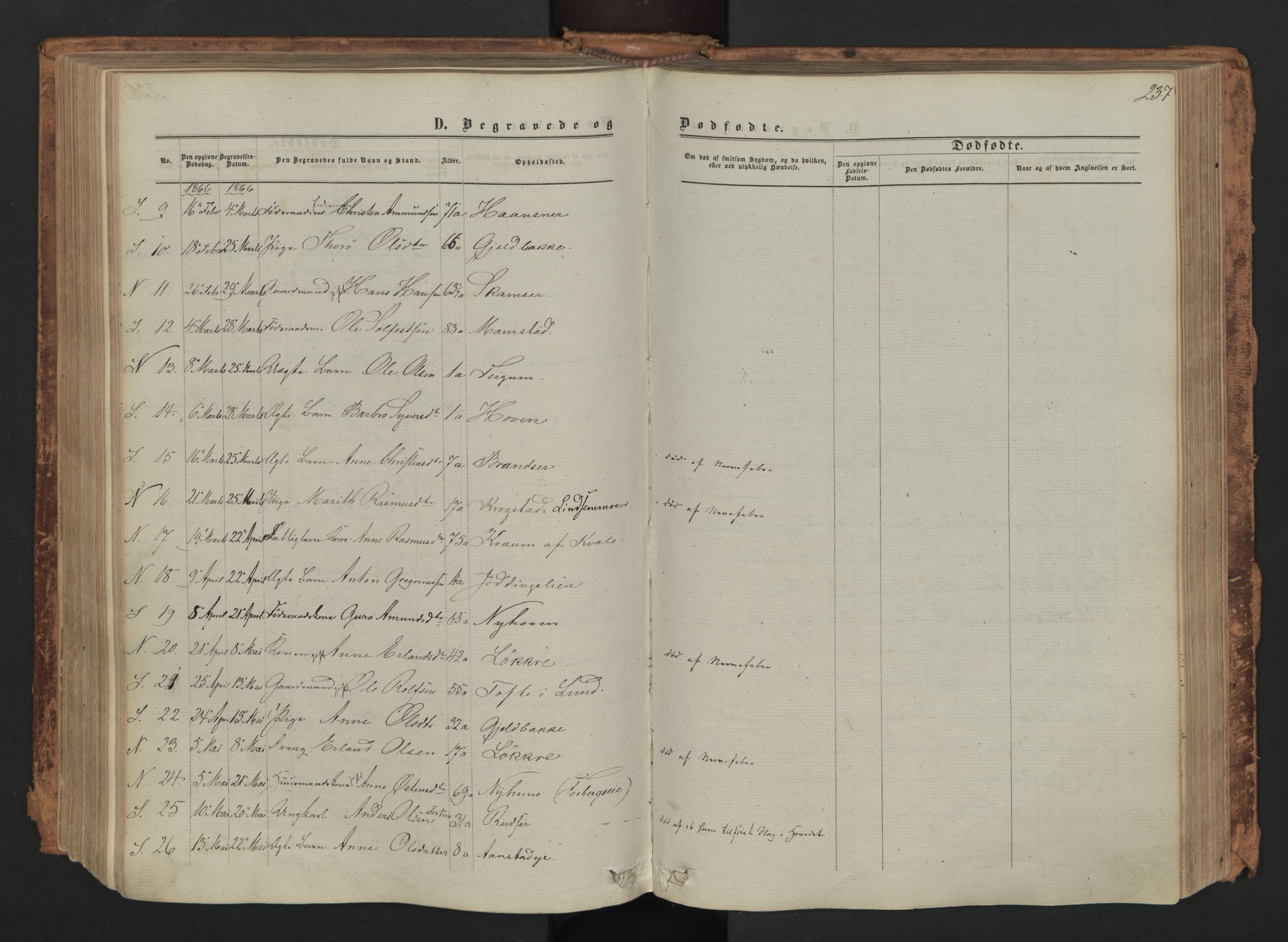 Skjåk prestekontor, SAH/PREST-072/H/Ha/Haa/L0001: Parish register (official) no. 1, 1863-1879, p. 237