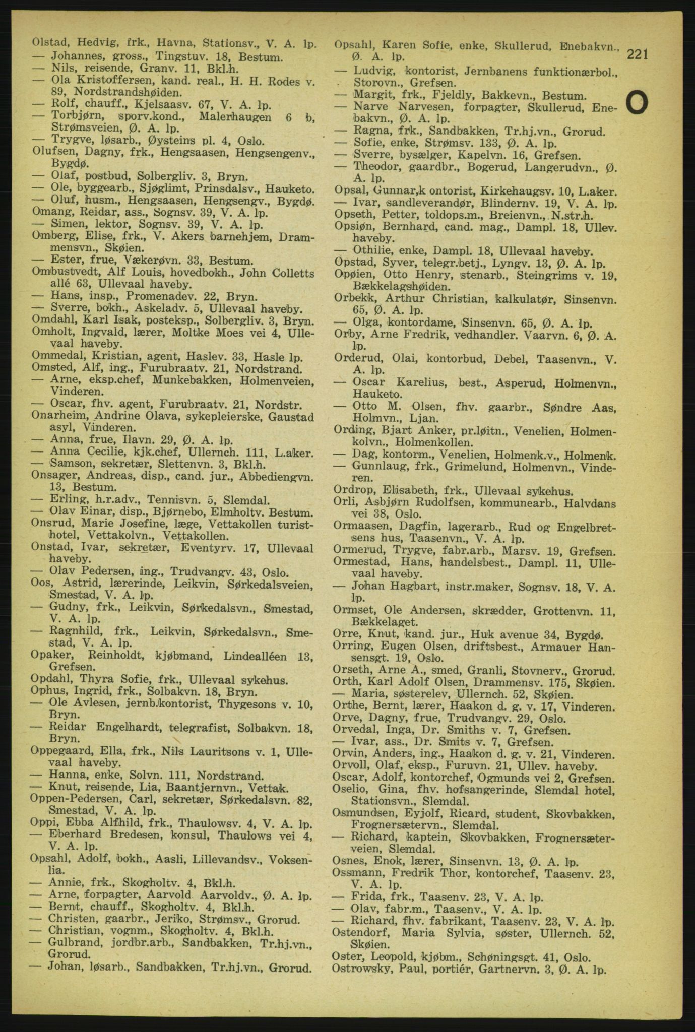 Aker adressebok/adressekalender, PUBL/001/A/004: Aker adressebok, 1929, p. 221
