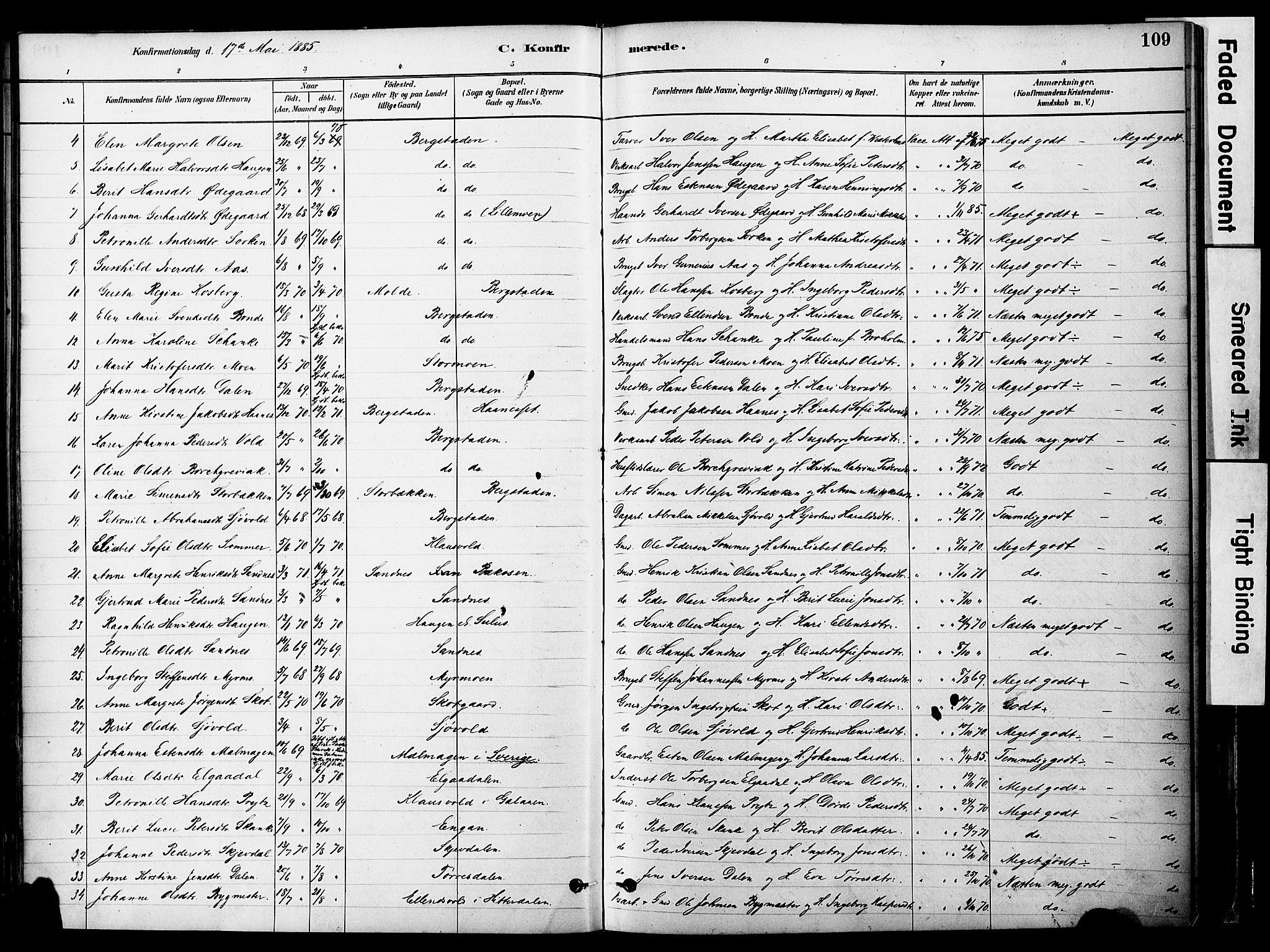 Ministerialprotokoller, klokkerbøker og fødselsregistre - Sør-Trøndelag, AV/SAT-A-1456/681/L0933: Parish register (official) no. 681A11, 1879-1890, p. 109