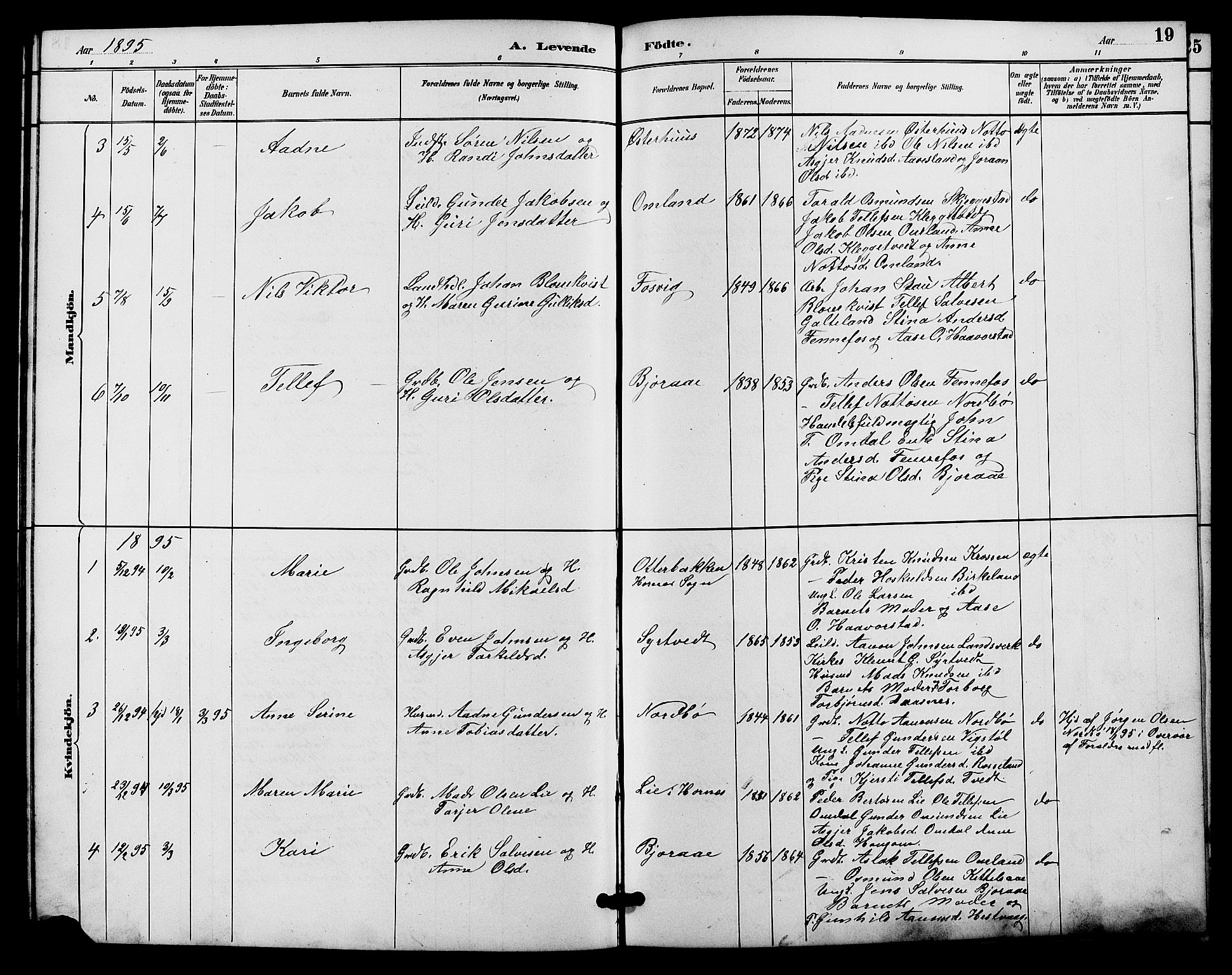Evje sokneprestkontor, SAK/1111-0008/F/Fb/Fba/L0003: Parish register (copy) no. B 3, 1888-1903, p. 19