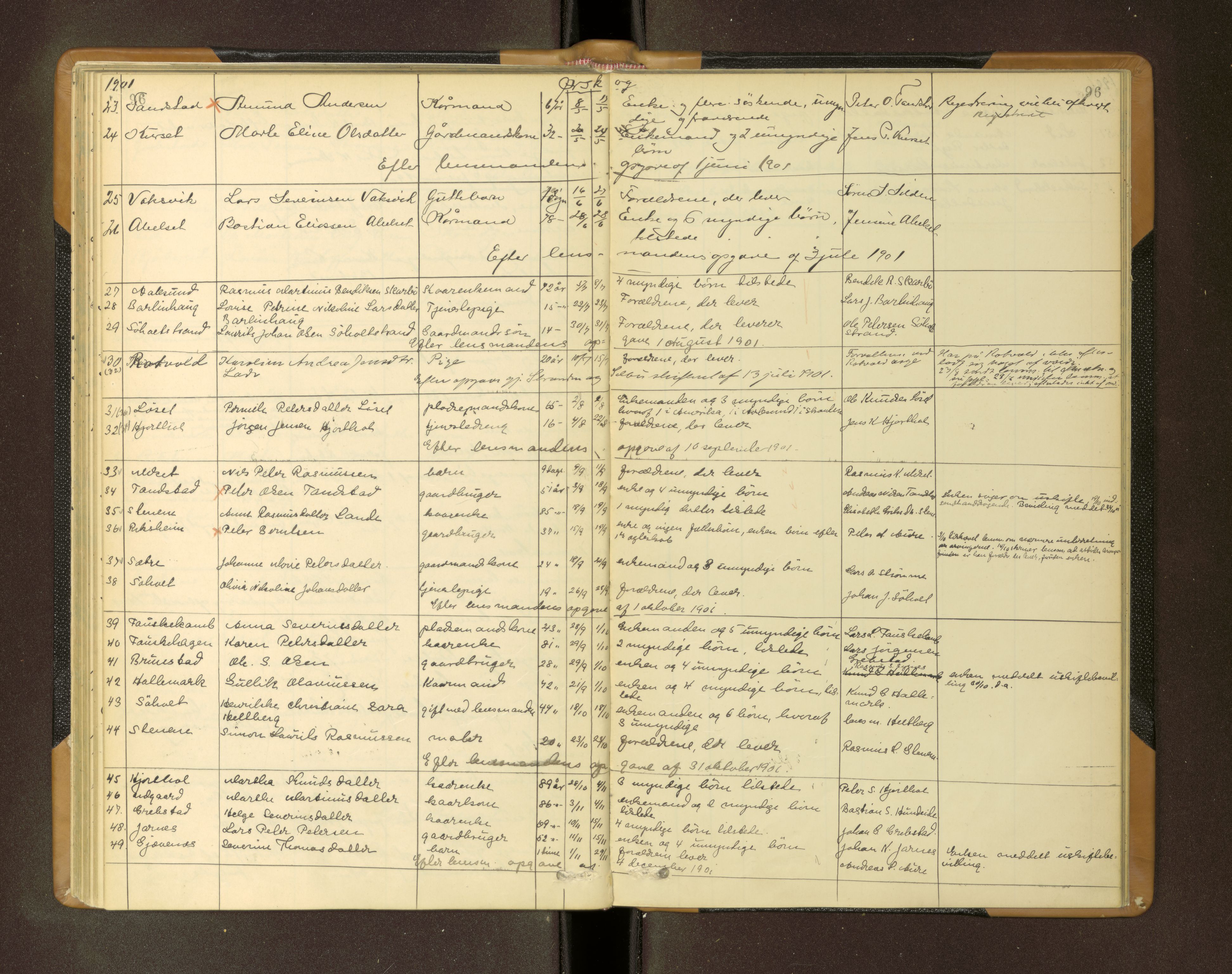 Nordre Sunnmøre sorenskriveri, AV/SAT-A-0006/1/3/3L/L0005: Dødsfallsprotokoll, 1893-1901, p. 96
