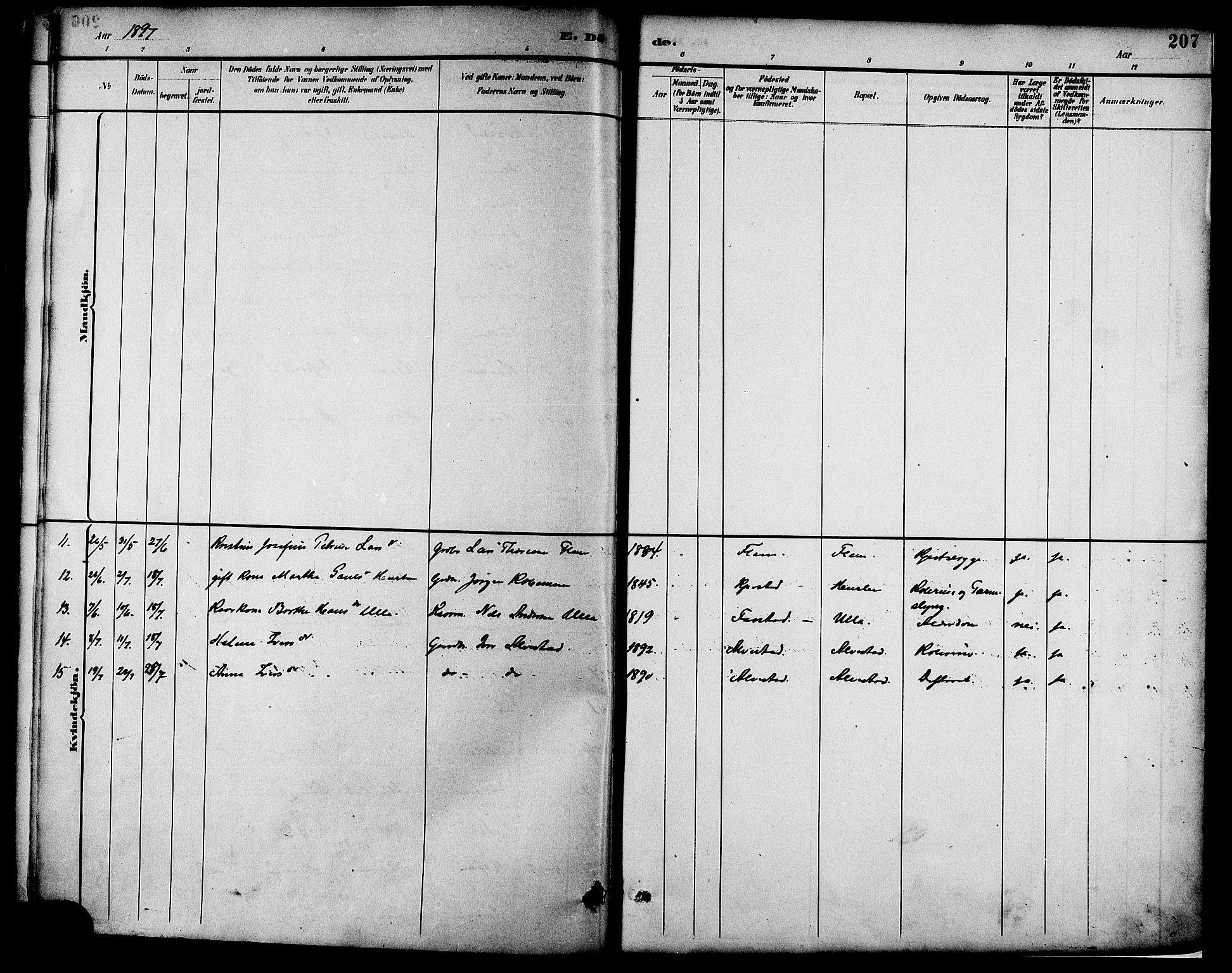 Ministerialprotokoller, klokkerbøker og fødselsregistre - Møre og Romsdal, SAT/A-1454/536/L0501: Parish register (official) no. 536A10, 1884-1896, p. 207