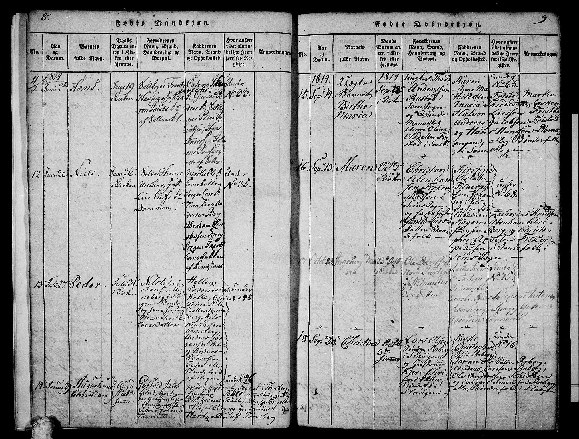 Sem kirkebøker, AV/SAKO-A-5/F/Fa/L0004: Parish register (official) no. I 4, 1814-1825, p. 8-9