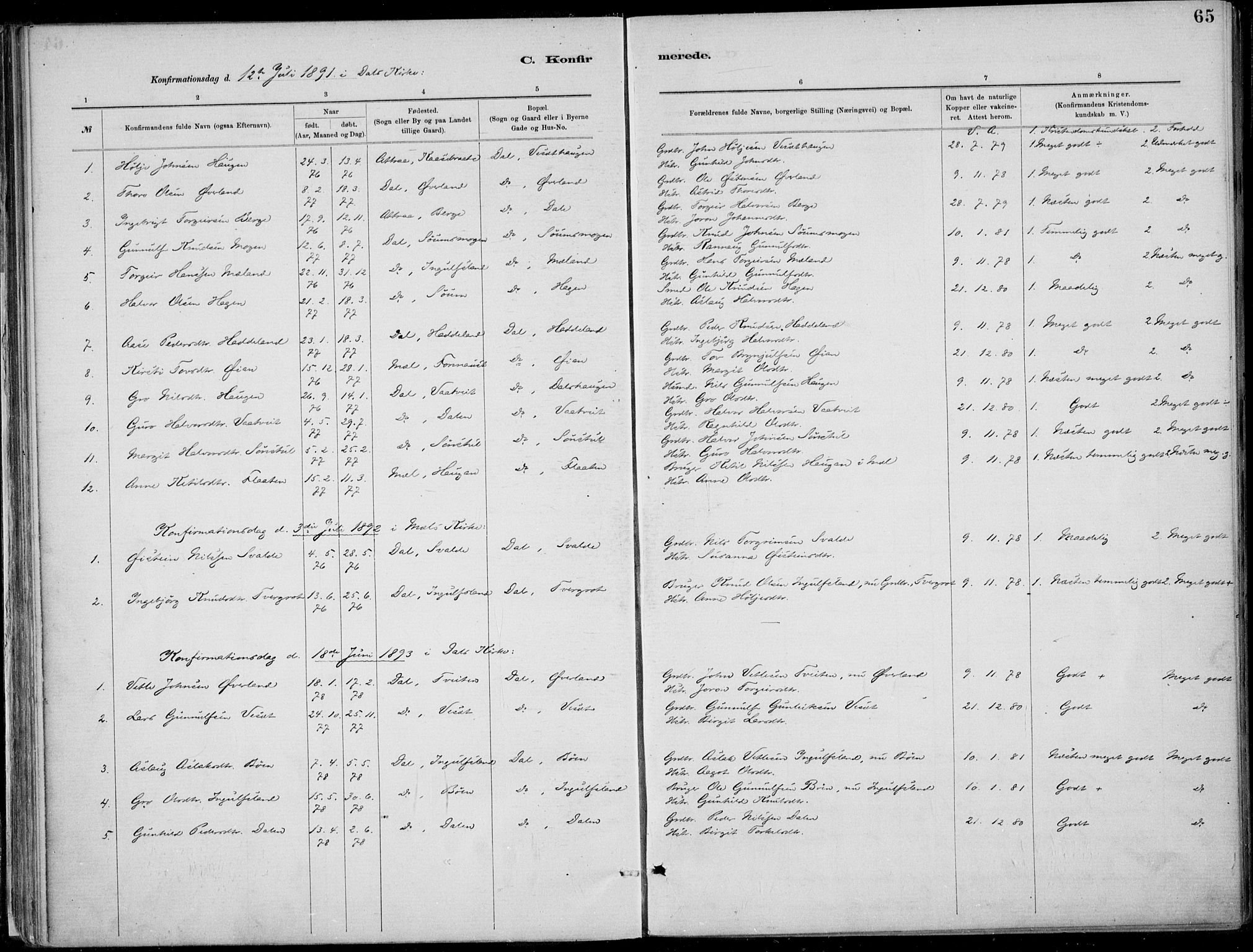 Rjukan kirkebøker, SAKO/A-294/F/Fa/L0001: Parish register (official) no. 1, 1878-1912, p. 65