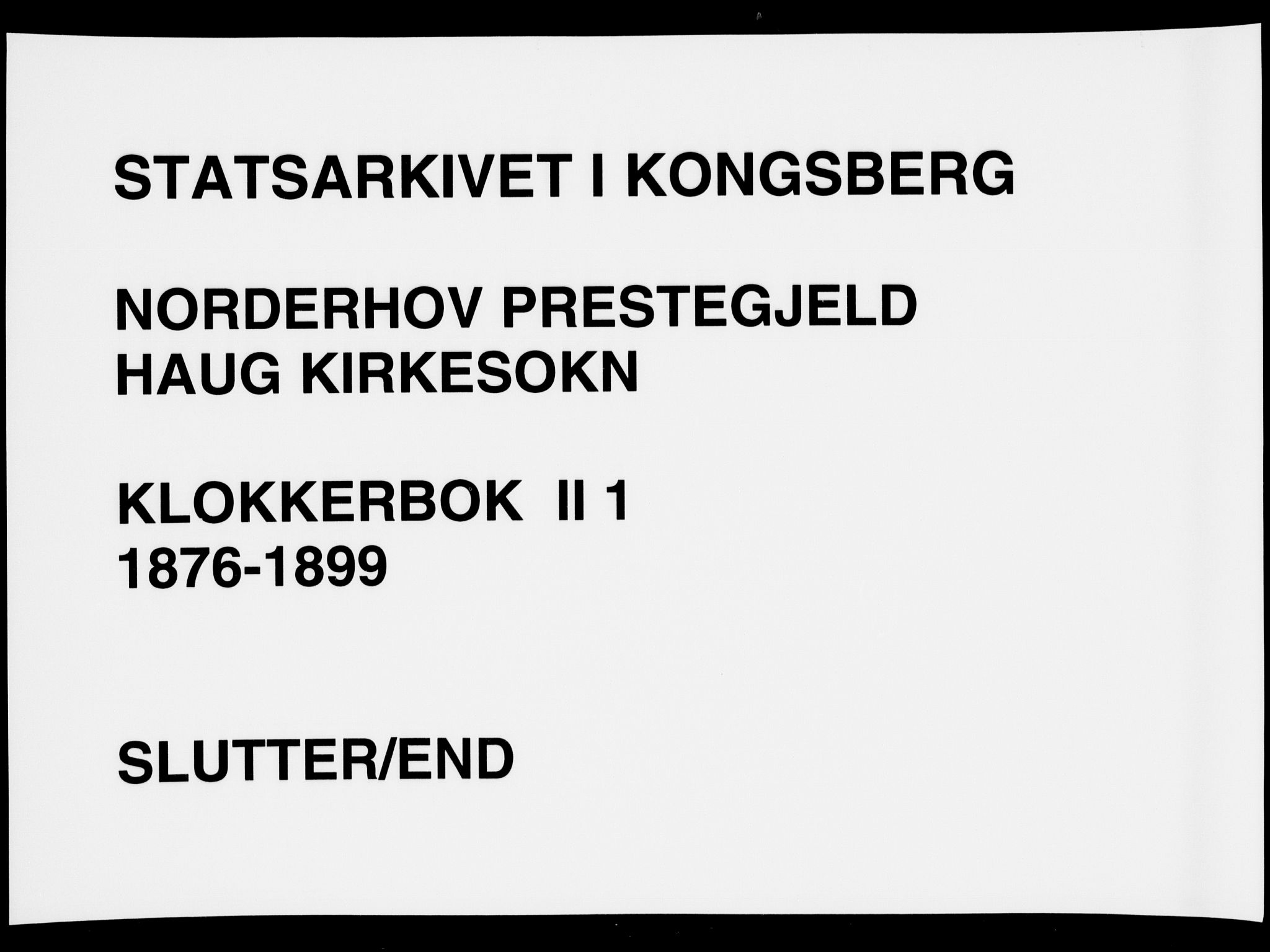 Norderhov kirkebøker, AV/SAKO-A-237/G/Gb/L0001: Parish register (copy) no. II 1, 1876-1899, p. 481