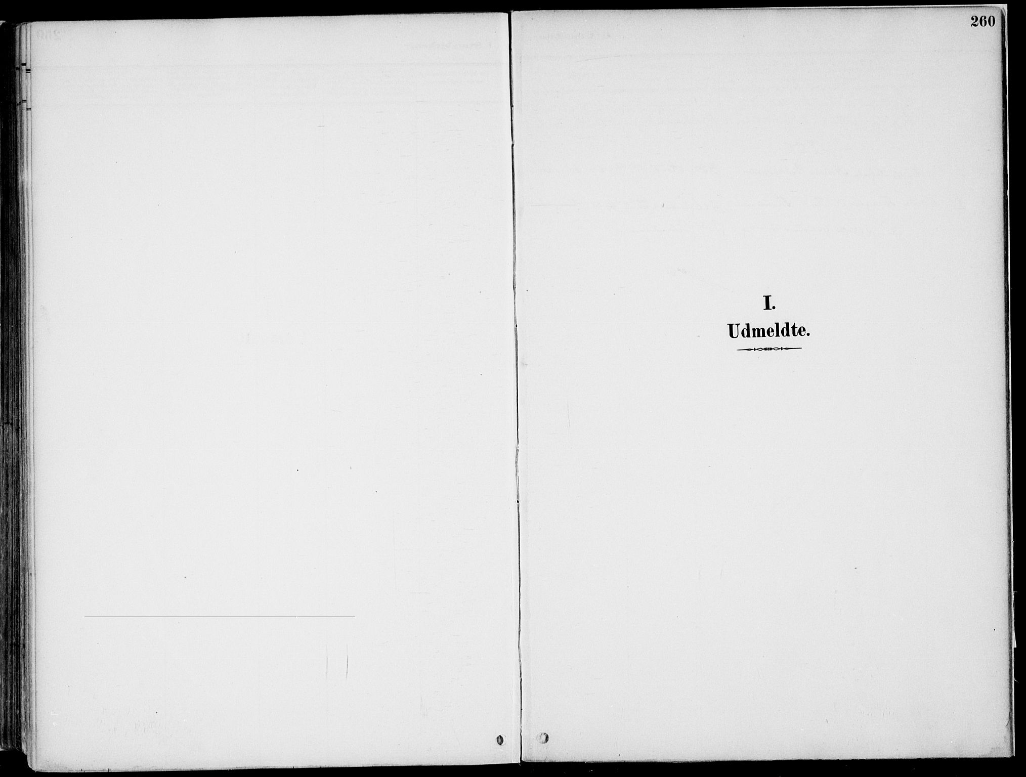 Nord-Odal prestekontor, AV/SAH-PREST-032/H/Ha/Haa/L0008: Parish register (official) no. 8, 1886-1901, p. 260