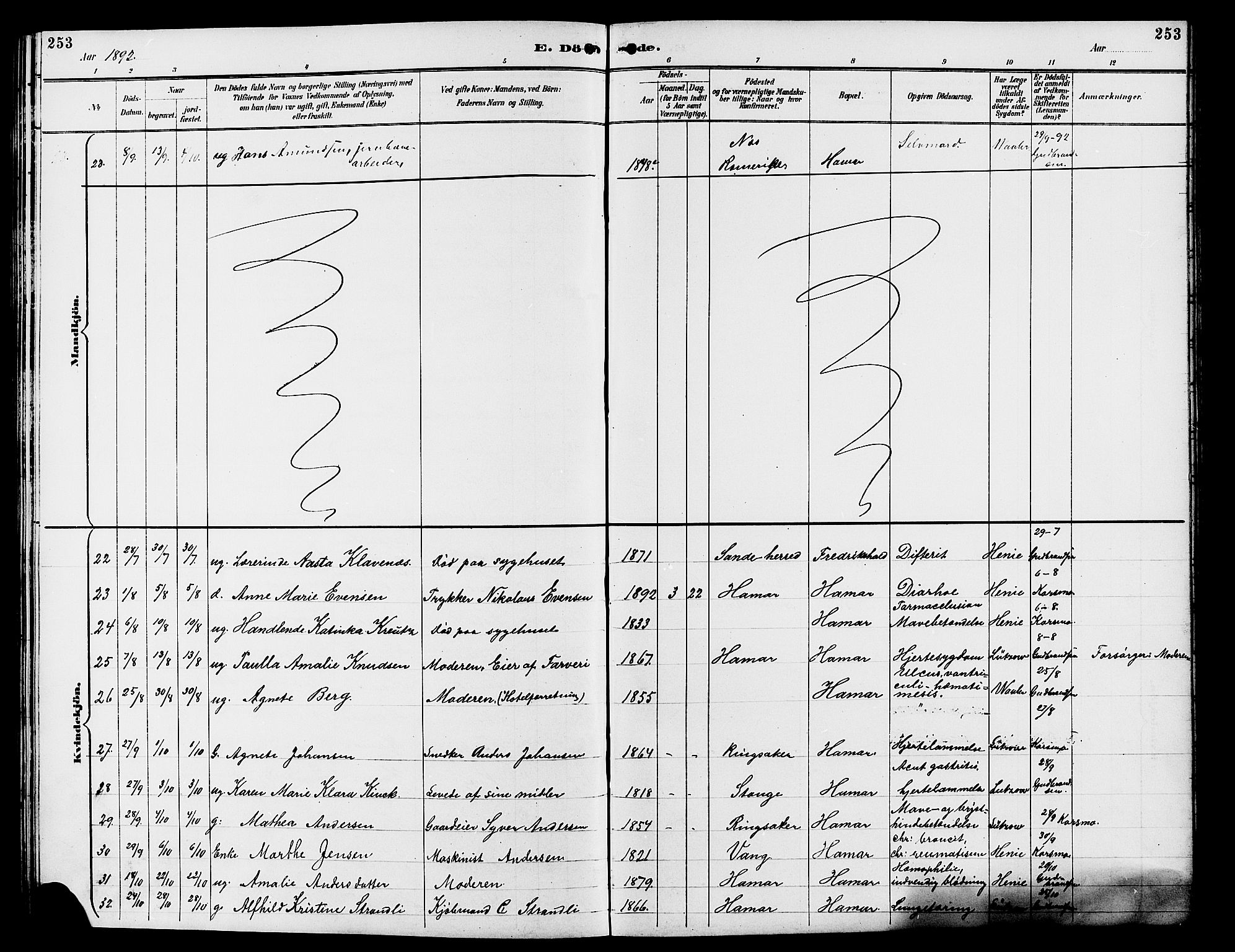 Vang prestekontor, Hedmark, AV/SAH-PREST-008/H/Ha/Hab/L0013: Parish register (copy) no. 13, 1890-1899, p. 253