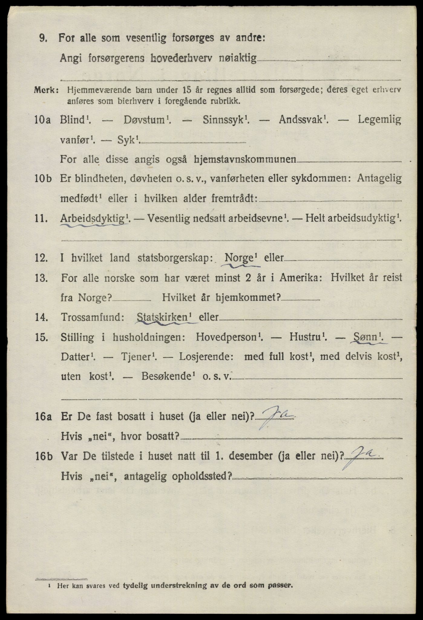 SAO, 1920 census for Nes, 1920, p. 6211