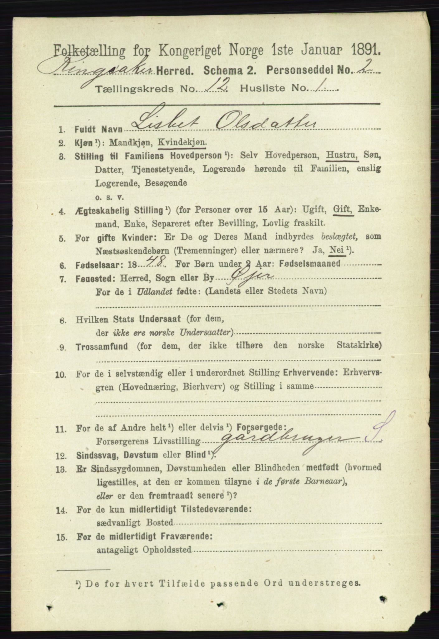 RA, 1891 census for 0412 Ringsaker, 1891, p. 6763