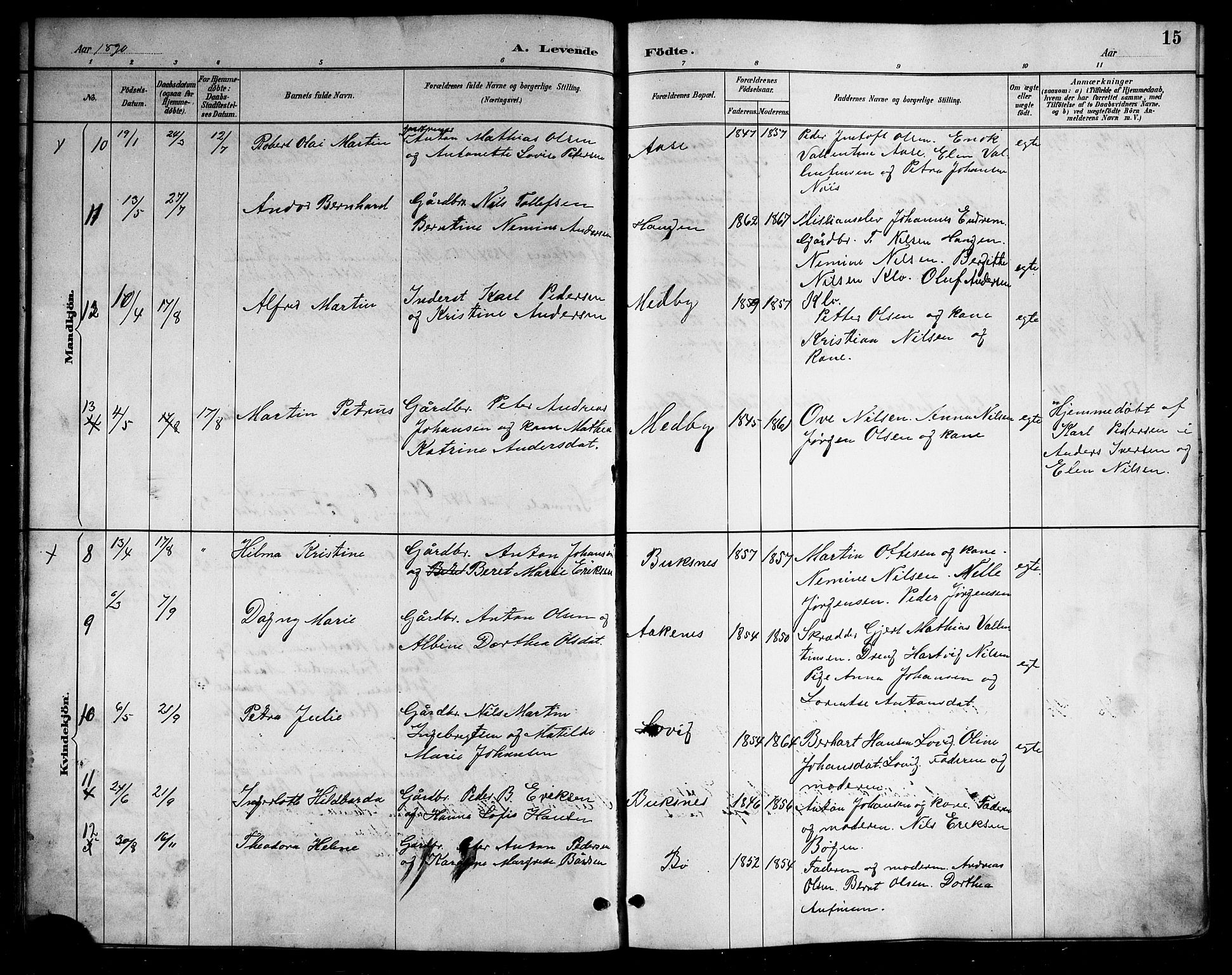 Ministerialprotokoller, klokkerbøker og fødselsregistre - Nordland, AV/SAT-A-1459/898/L1427: Parish register (copy) no. 898C02, 1887-1917, p. 15