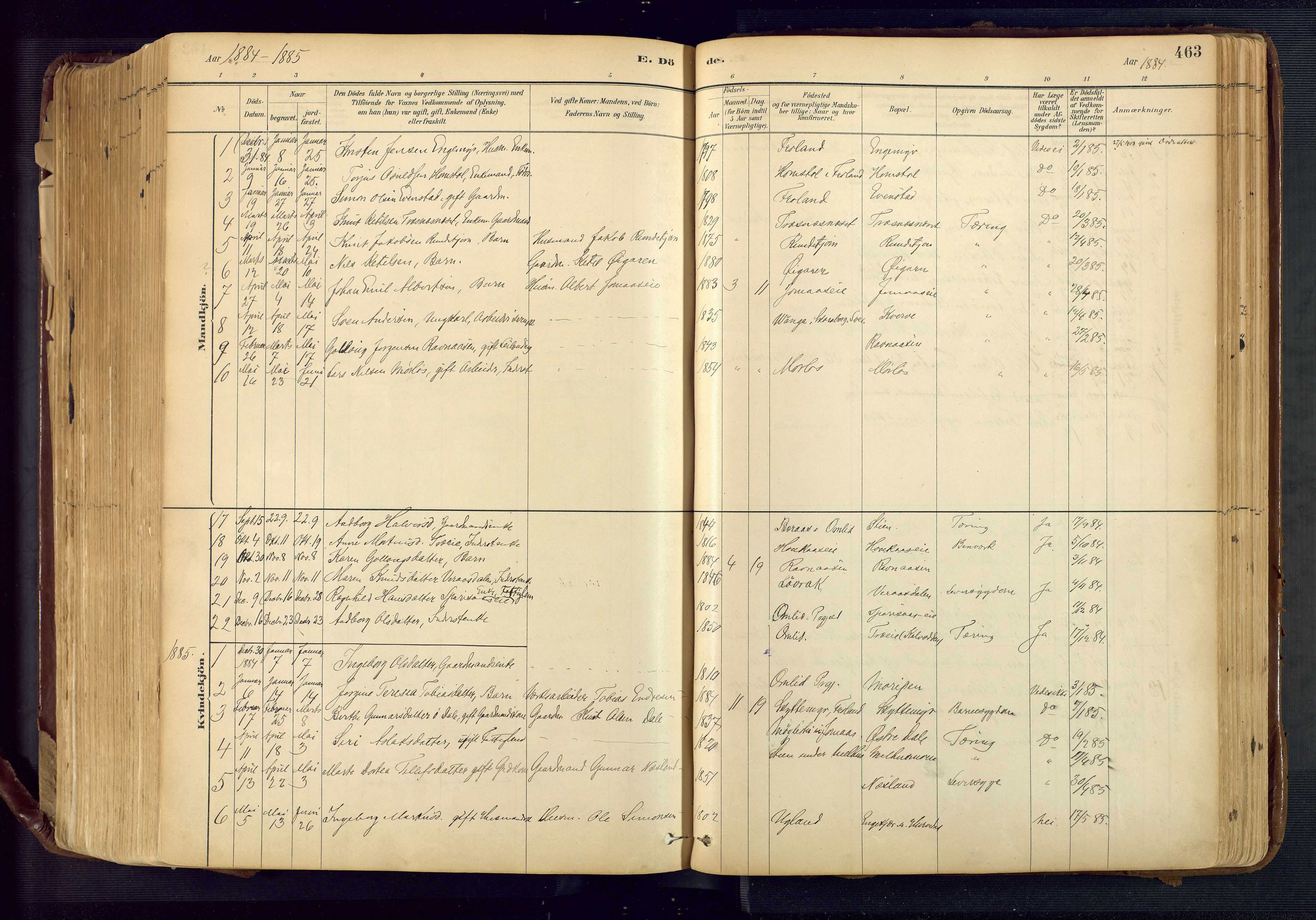 Froland sokneprestkontor, SAK/1111-0013/F/Fa/L0005: Parish register (official) no. A 5, 1882-1921, p. 463