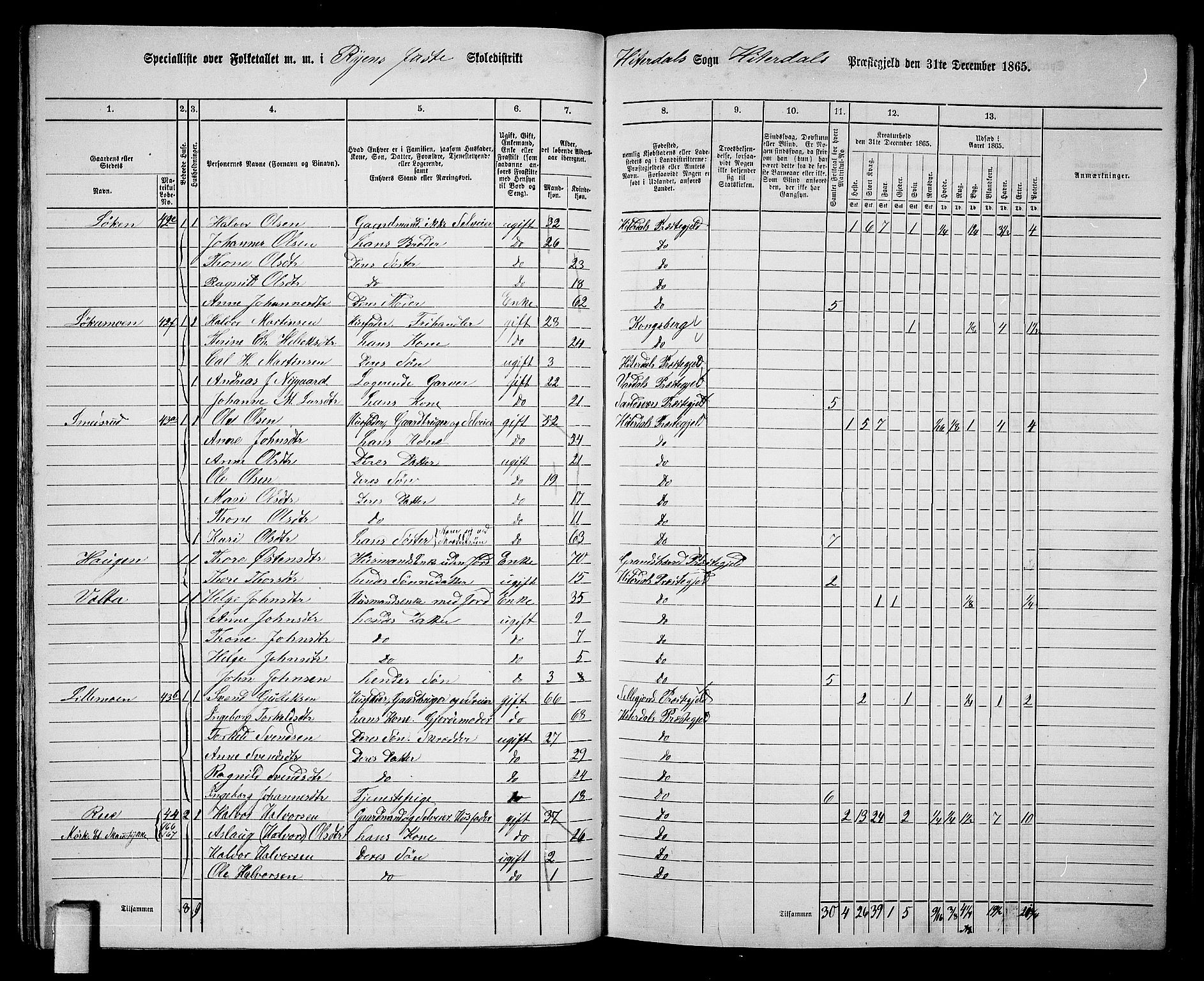 RA, 1865 census for Heddal, 1865, p. 45