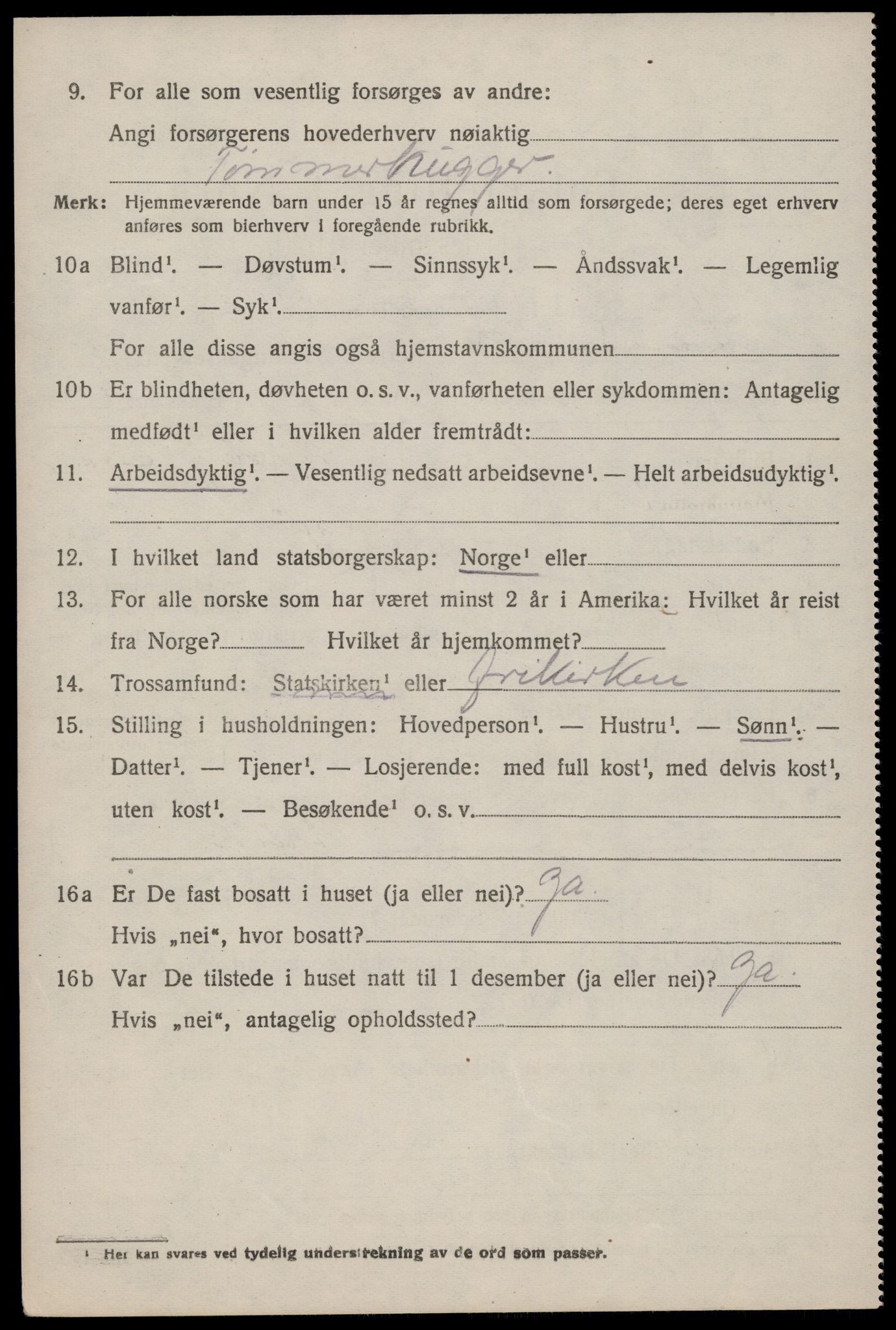 SAKO, 1920 census for Nissedal, 1920, p. 3882