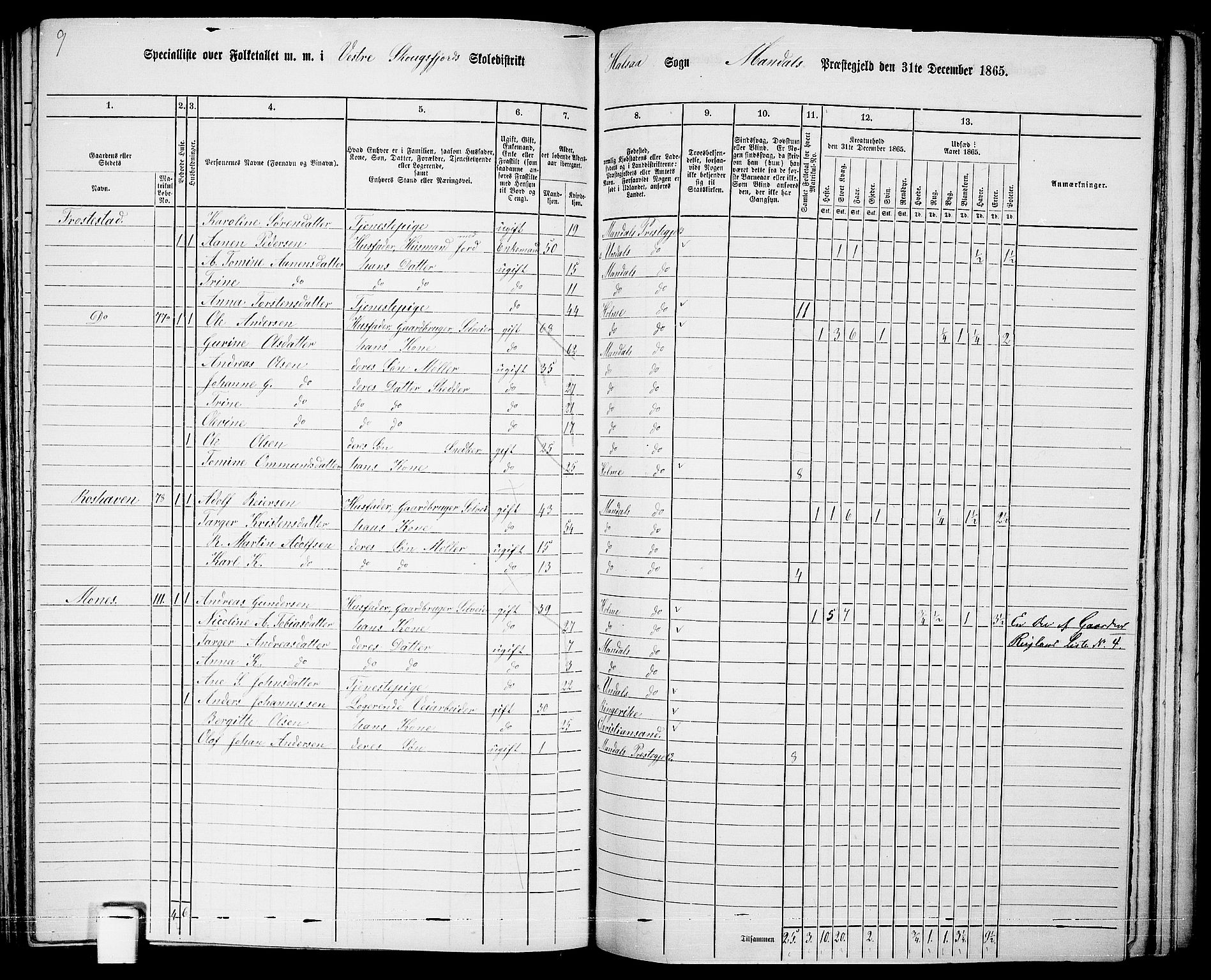 RA, 1865 census for Mandal/Halse og Harkmark, 1865, p. 94