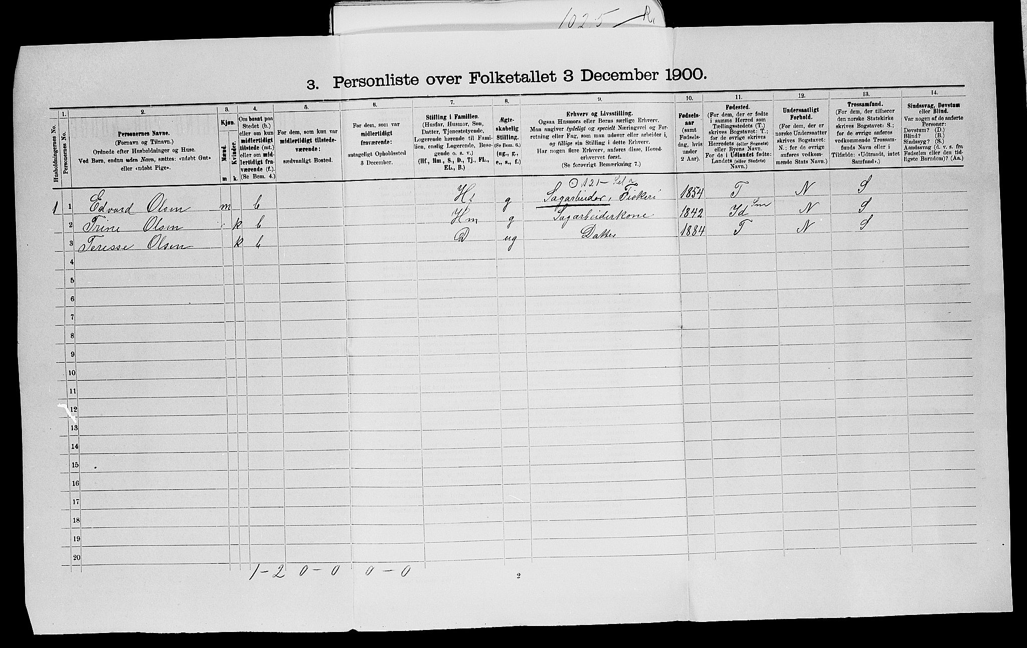 SAO, 1900 census for Berg, 1900