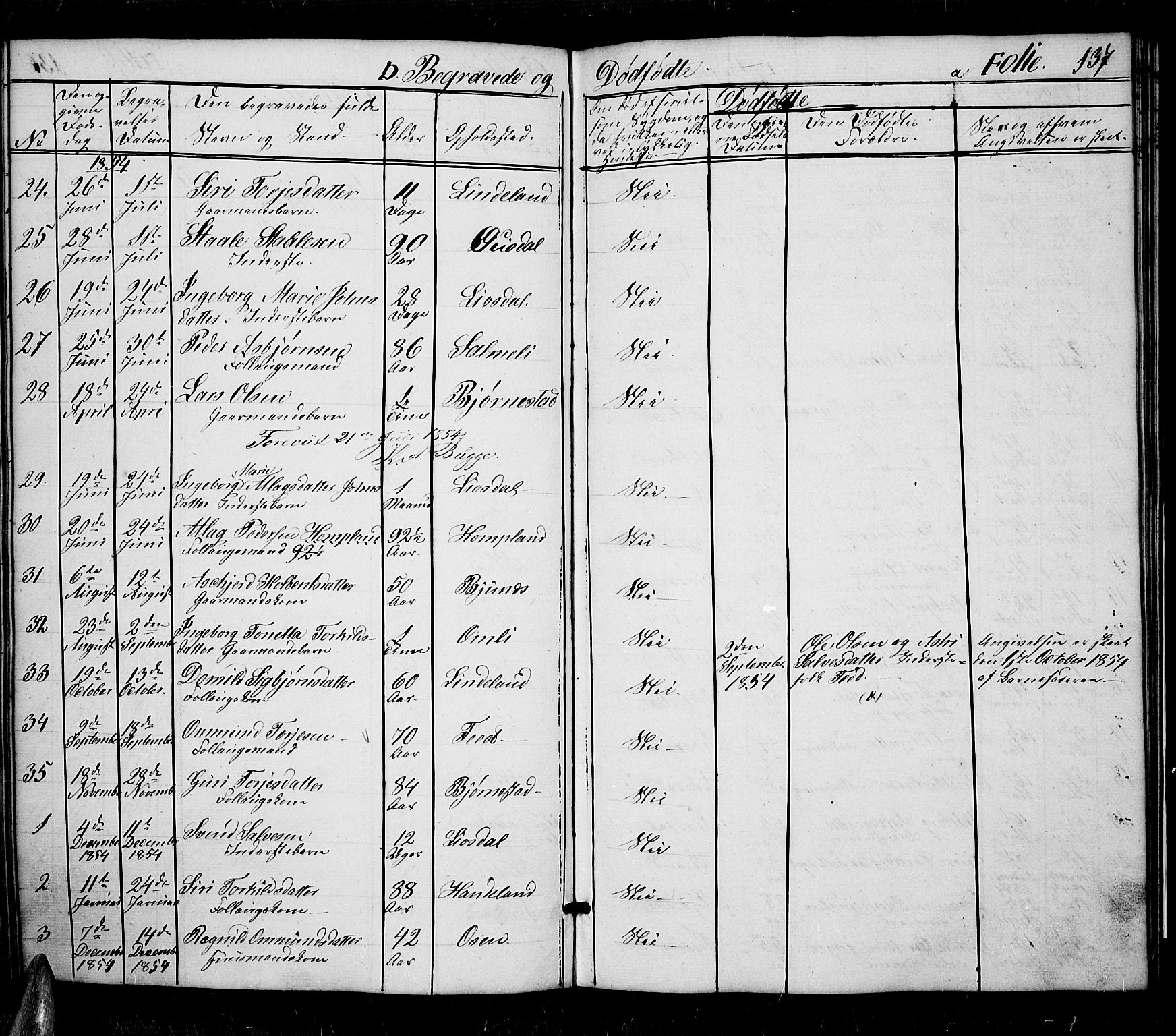 Sirdal sokneprestkontor, SAK/1111-0036/F/Fb/Fbb/L0002: Parish register (copy) no. B 2, 1848-1878, p. 137