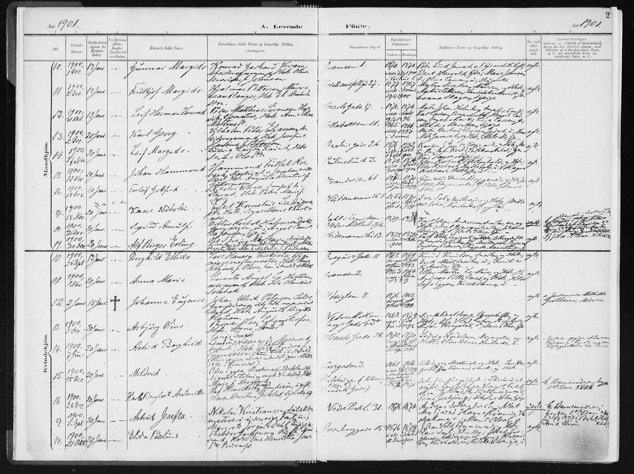 Ministerialprotokoller, klokkerbøker og fødselsregistre - Sør-Trøndelag, SAT/A-1456/604/L0199: Parish register (official) no. 604A20I, 1901-1906, p. 2