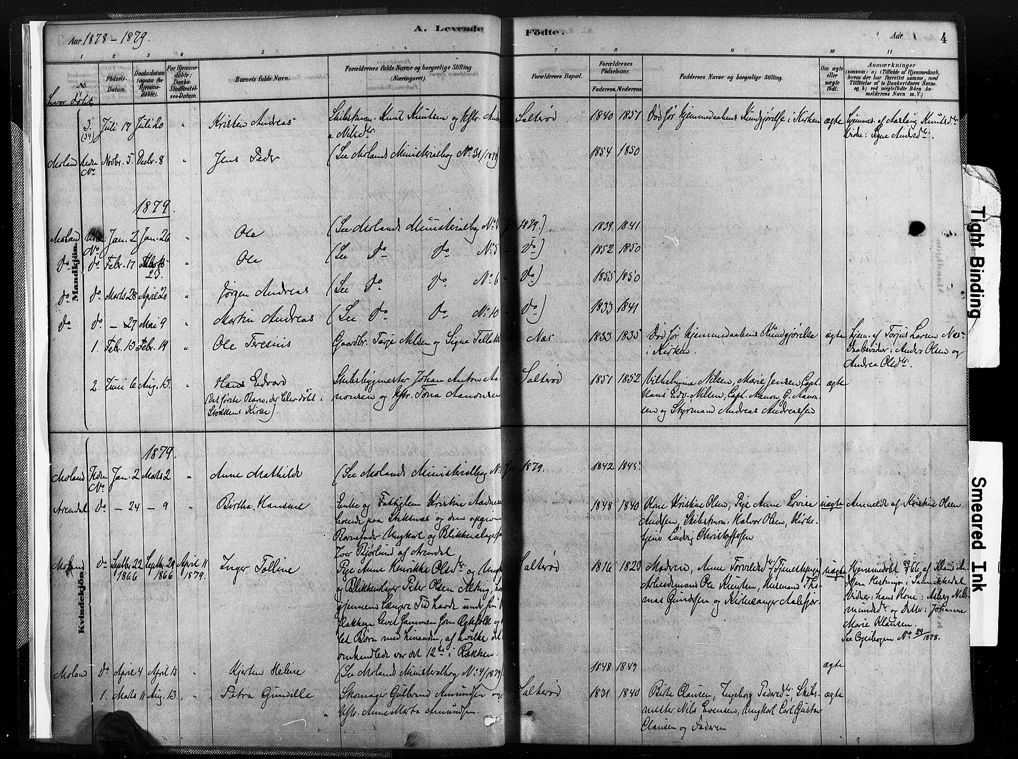 Austre Moland sokneprestkontor, AV/SAK-1111-0001/F/Fa/Fab/L0001: Parish register (official) no. A 1, 1878-1898, p. 4