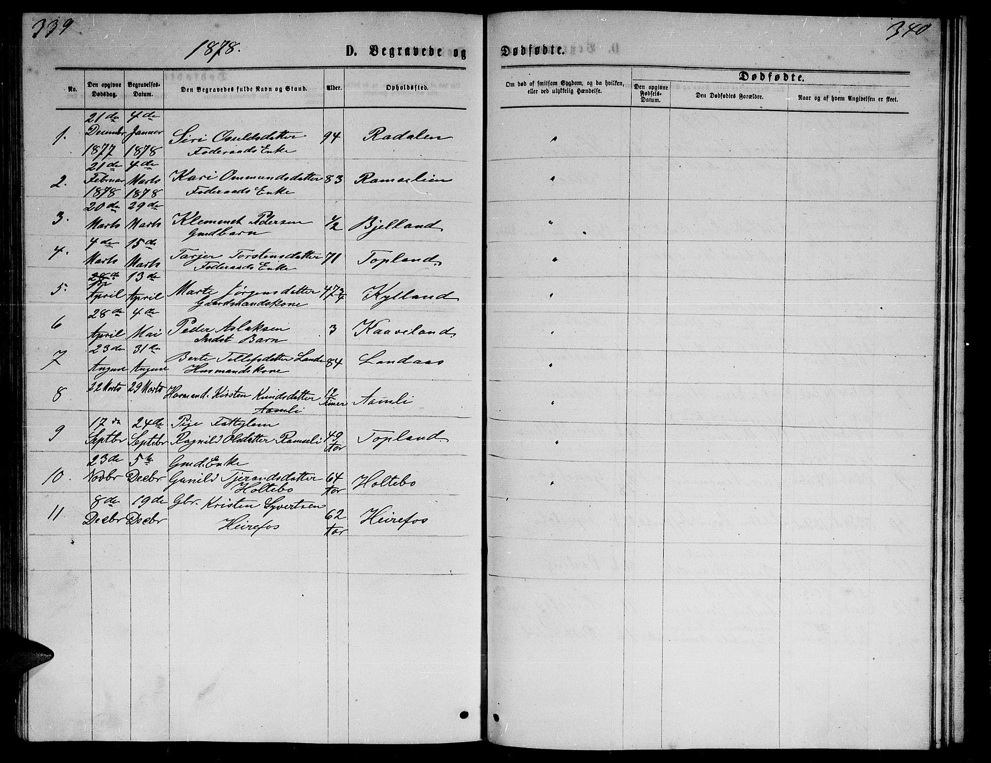 Herefoss sokneprestkontor, AV/SAK-1111-0019/F/Fb/Fba/L0002: Parish register (copy) no. B 2, 1868-1886, p. 339-340