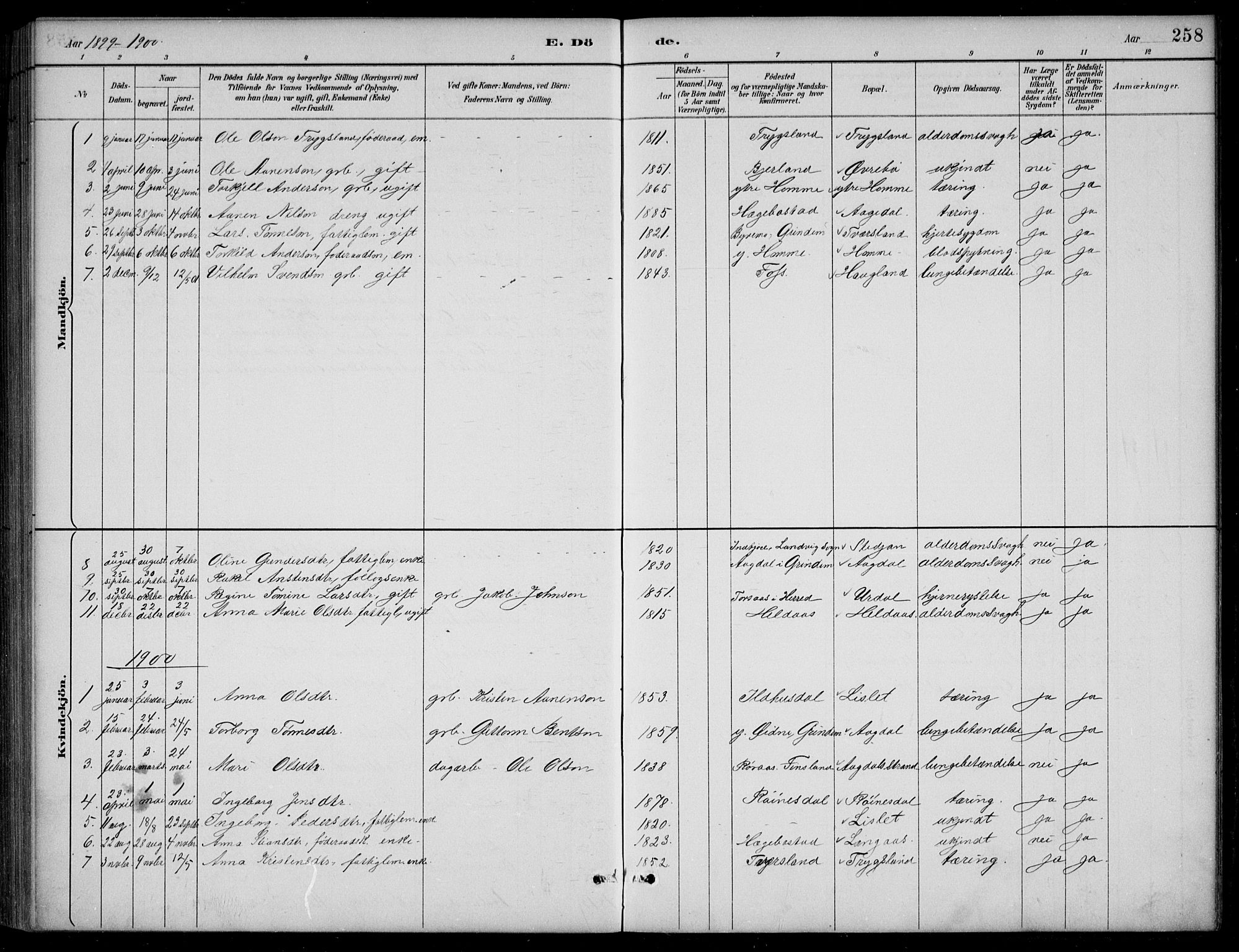 Bjelland sokneprestkontor, AV/SAK-1111-0005/F/Fb/Fba/L0005: Parish register (copy) no. B 5, 1887-1923, p. 258