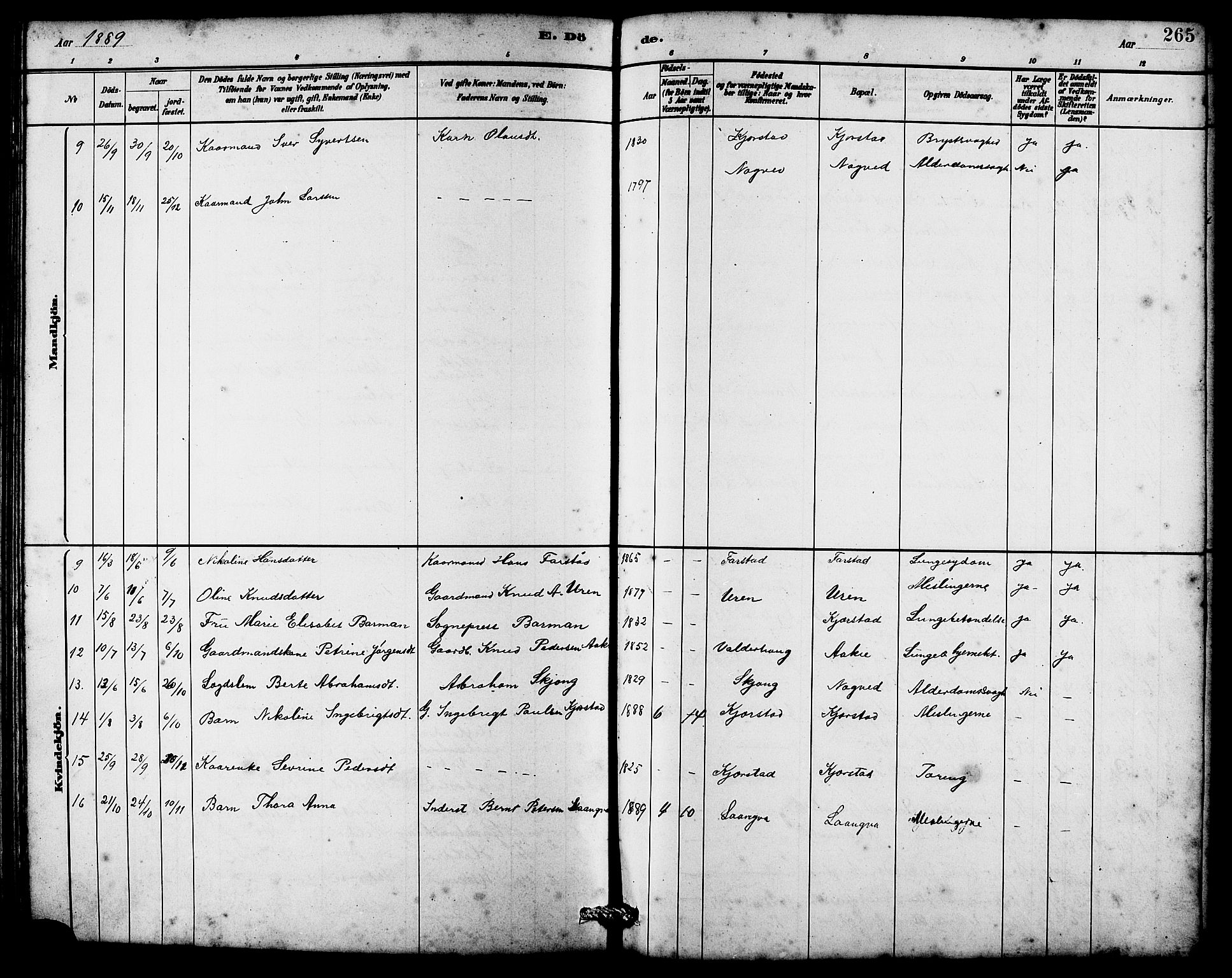 Ministerialprotokoller, klokkerbøker og fødselsregistre - Møre og Romsdal, AV/SAT-A-1454/536/L0510: Parish register (copy) no. 536C05, 1881-1898, p. 265