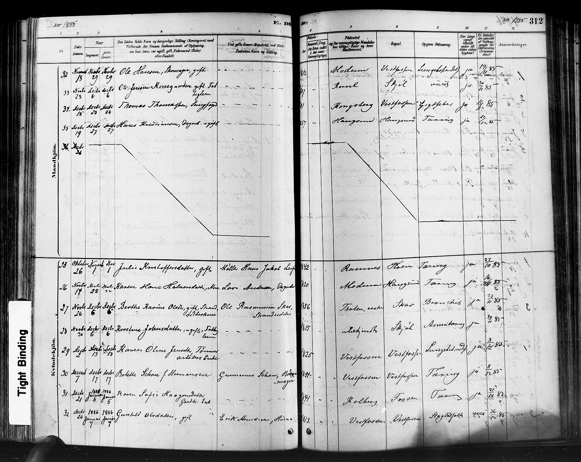 Eiker kirkebøker, SAKO/A-4/F/Fb/L0001: Parish register (official) no. II 1, 1878-1888, p. 312