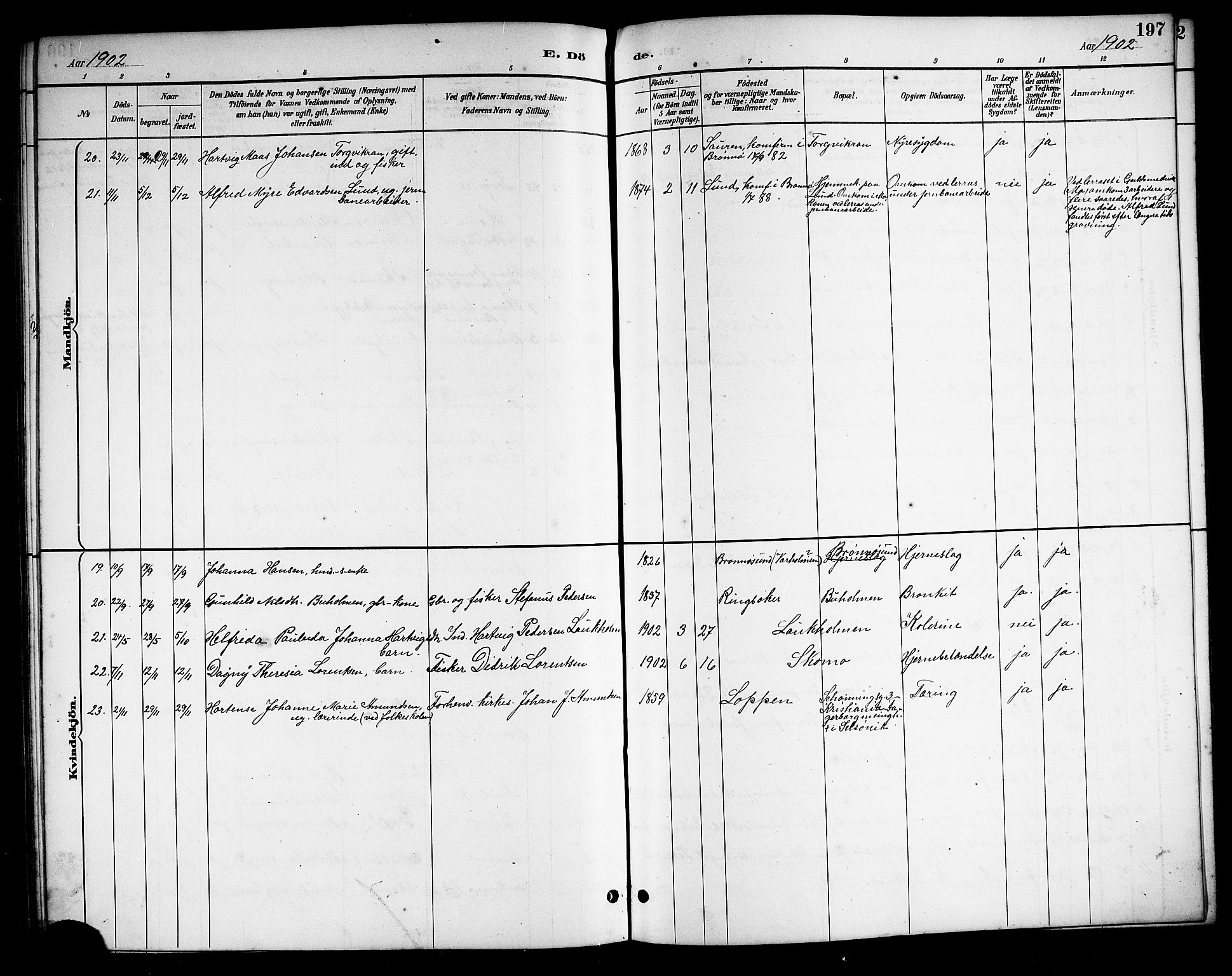 Ministerialprotokoller, klokkerbøker og fødselsregistre - Nordland, SAT/A-1459/813/L0213: Parish register (copy) no. 813C05, 1887-1903, p. 197
