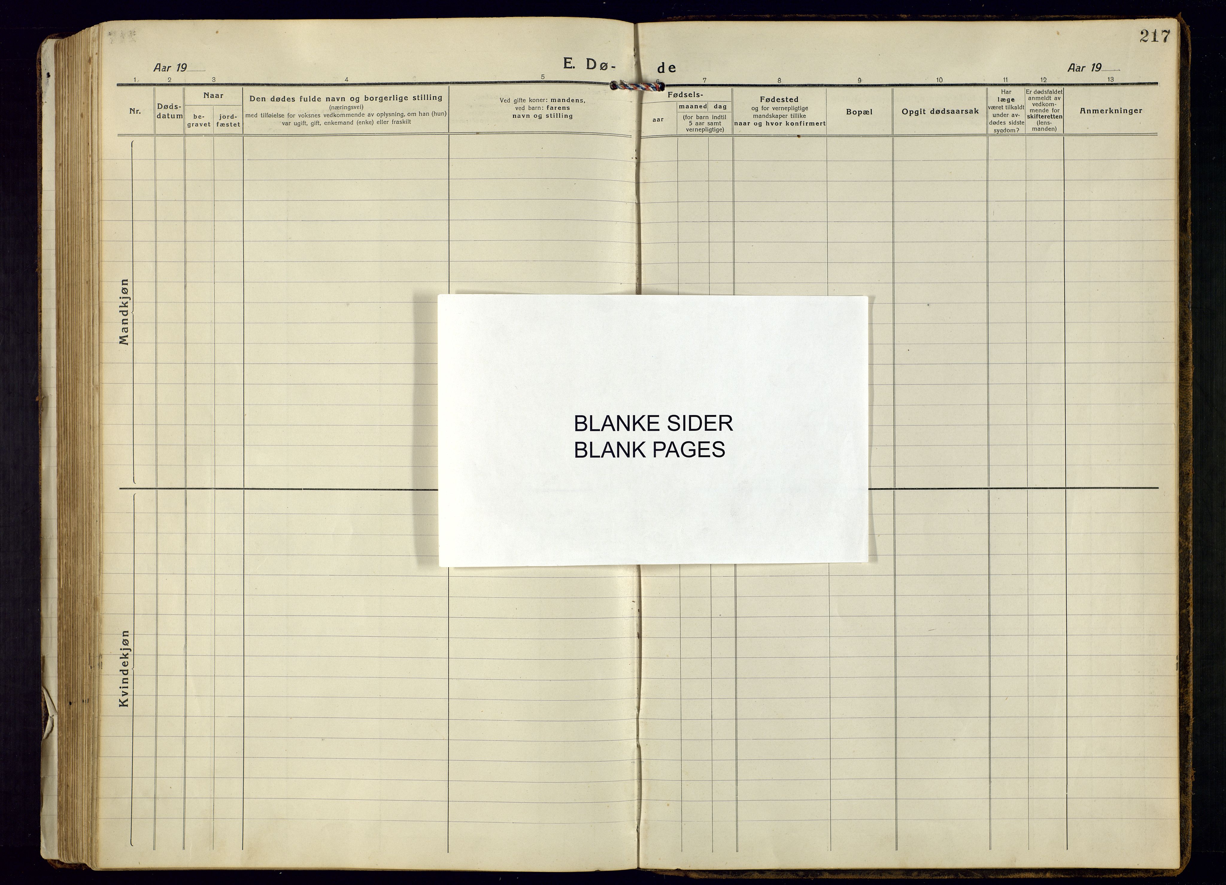 Bjelland sokneprestkontor, AV/SAK-1111-0005/F/Fb/Fbb/L0006: Parish register (copy) no. B-6, 1918-1946, p. 217