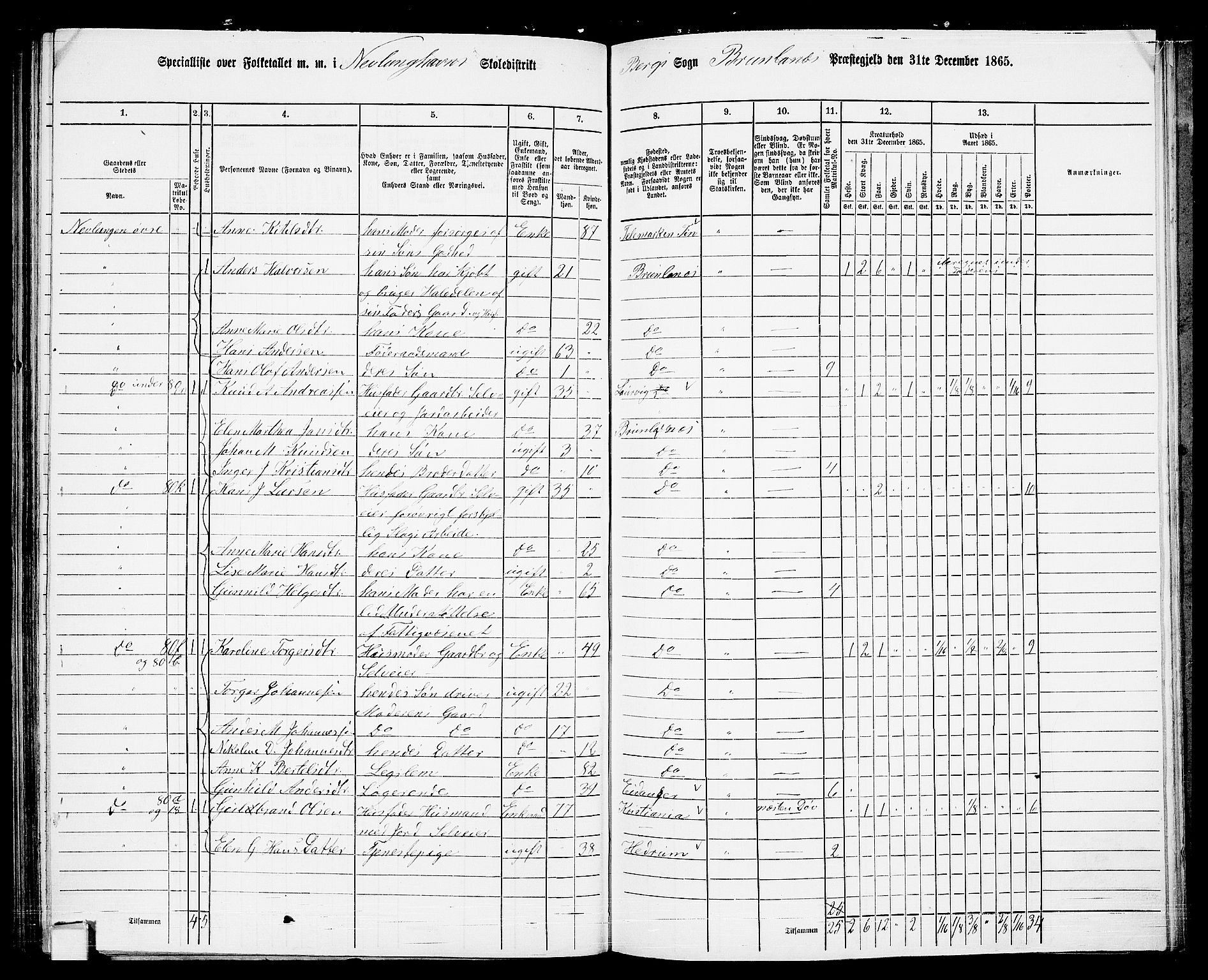 RA, 1865 census for Brunlanes, 1865, p. 143