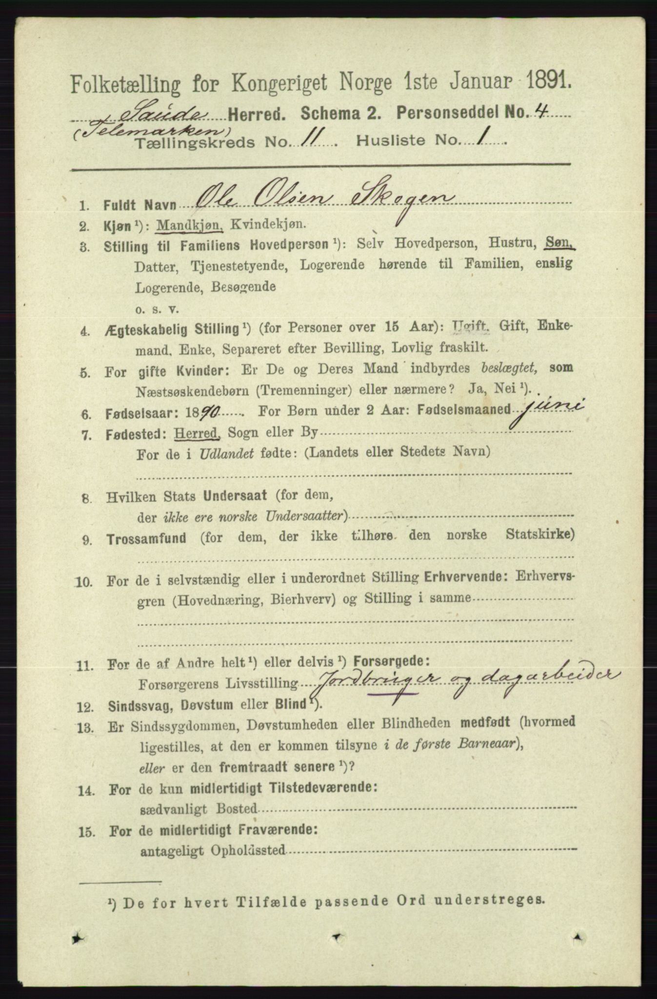 RA, 1891 census for 0822 Sauherad, 1891, p. 3380