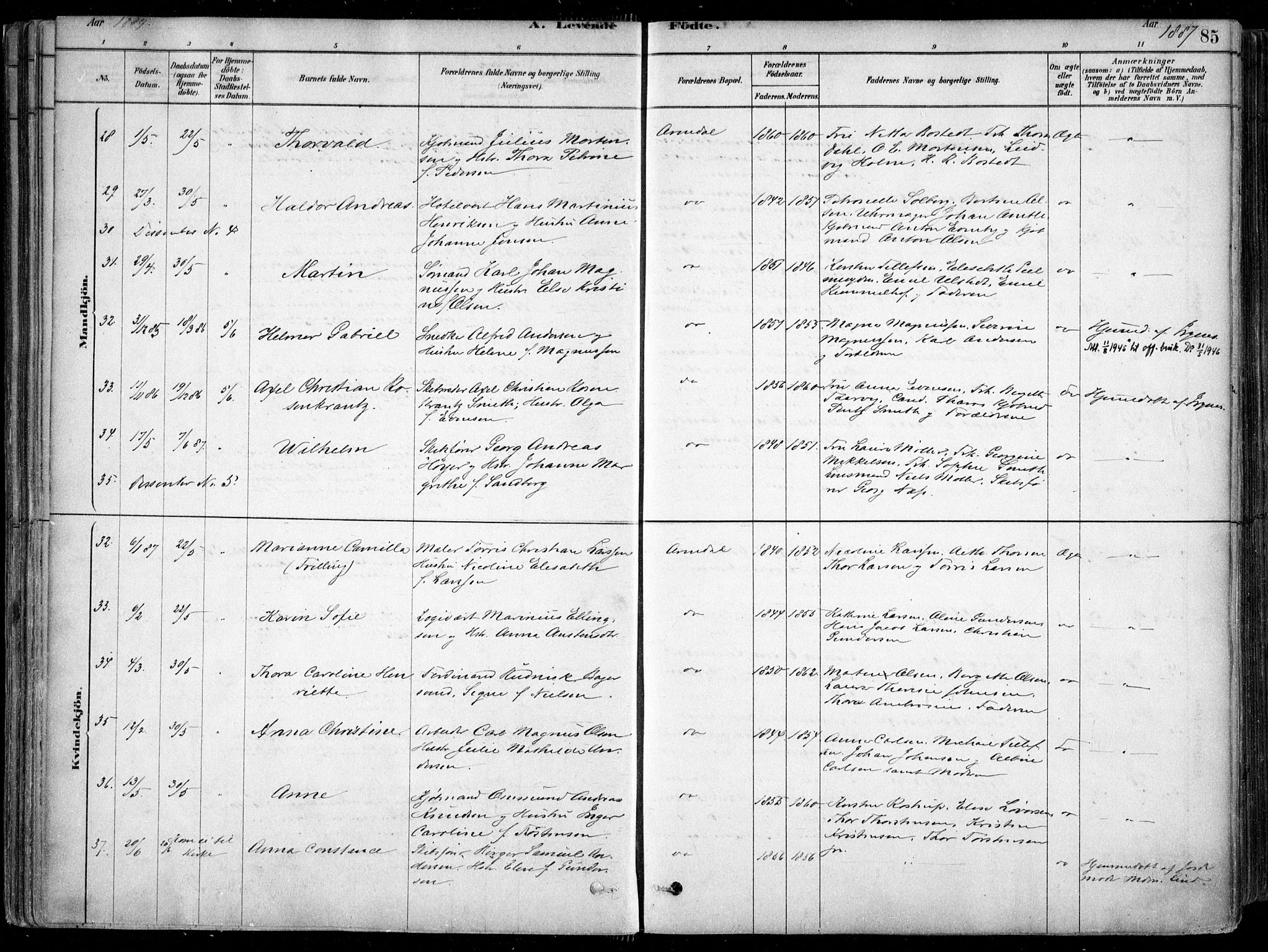 Arendal sokneprestkontor, Trefoldighet, AV/SAK-1111-0040/F/Fa/L0008: Parish register (official) no. A 8, 1878-1899, p. 85