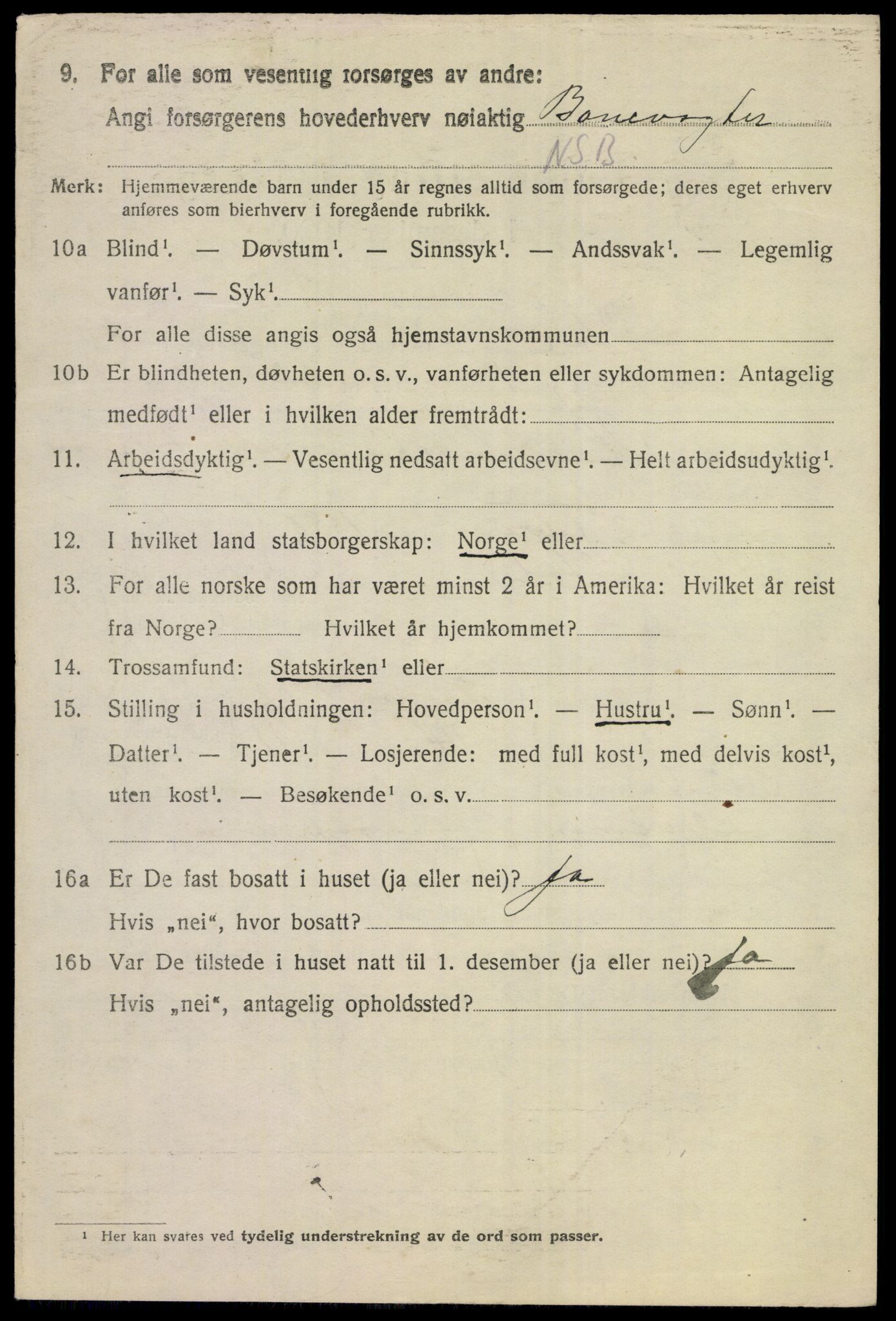 SAKO, 1920 census for Hol (Buskerud), 1920, p. 4086