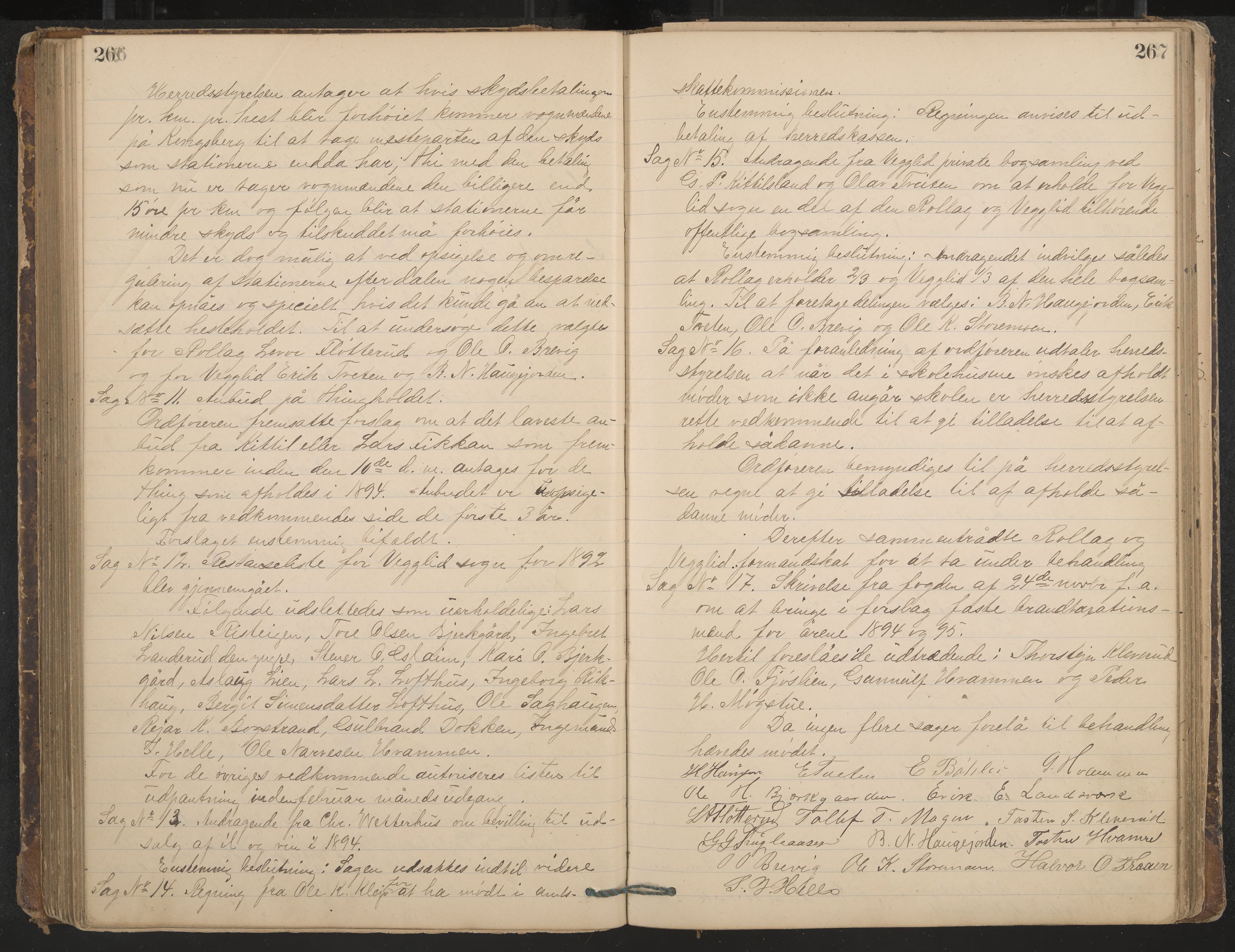 Rollag formannskap og sentraladministrasjon, IKAK/0632021-2/A/Aa/L0003: Møtebok, 1884-1897, p. 266-267