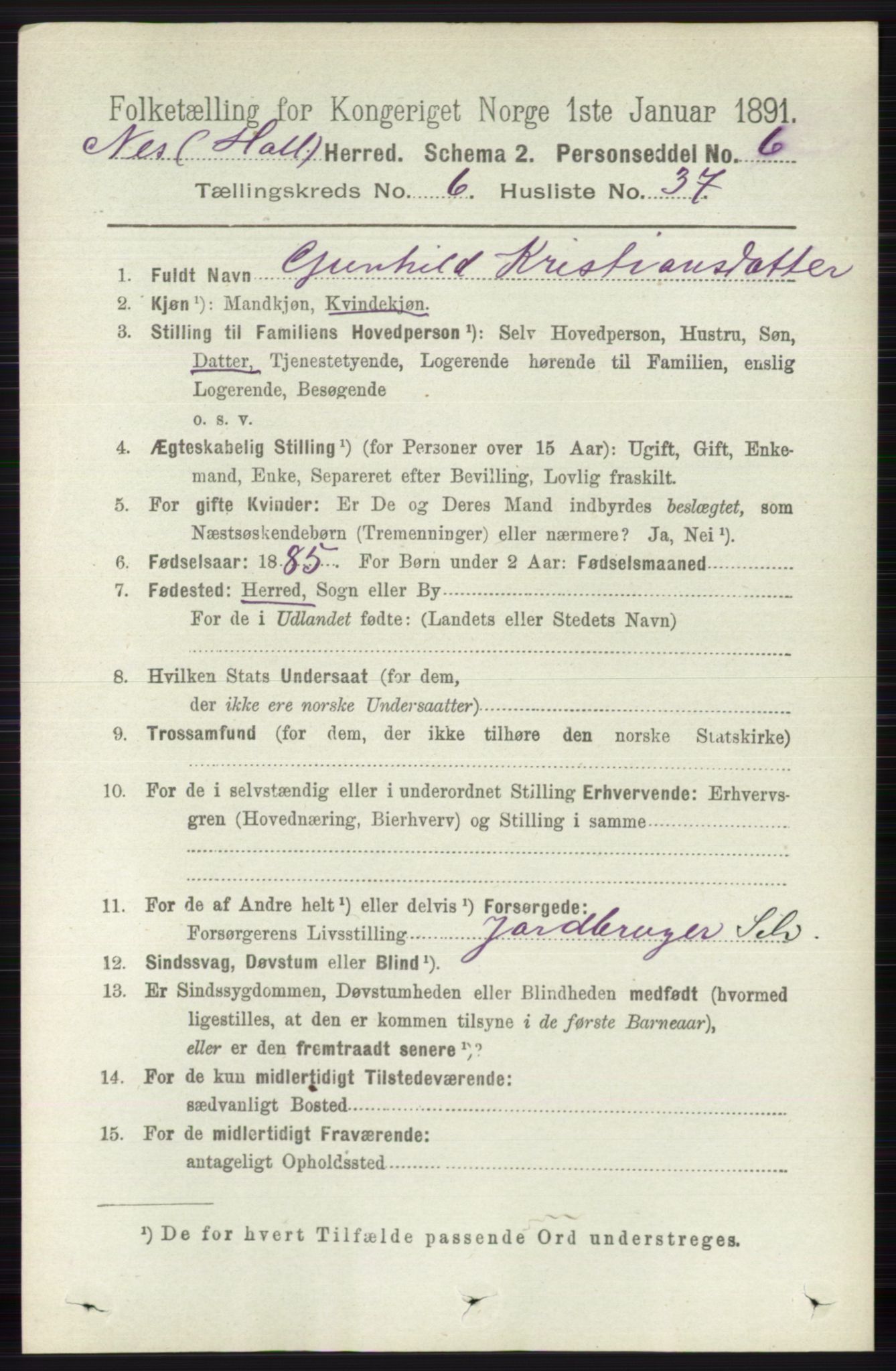 RA, 1891 census for 0616 Nes, 1891, p. 3249