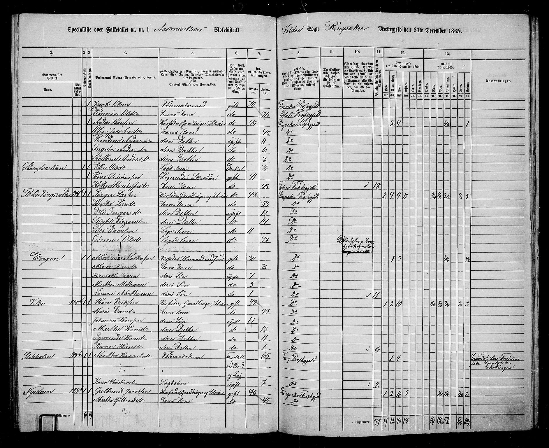 RA, 1865 census for Ringsaker, 1865, p. 225