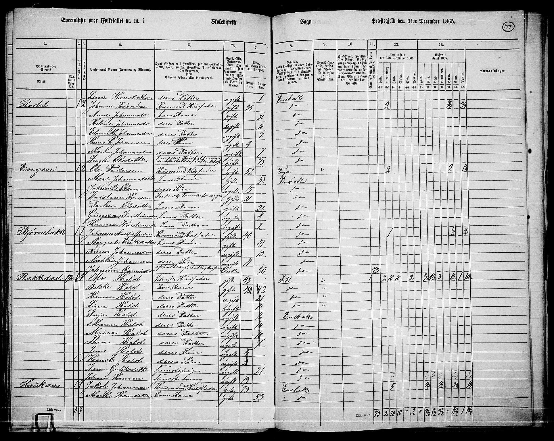 RA, 1865 census for Enebakk, 1865, p. 154