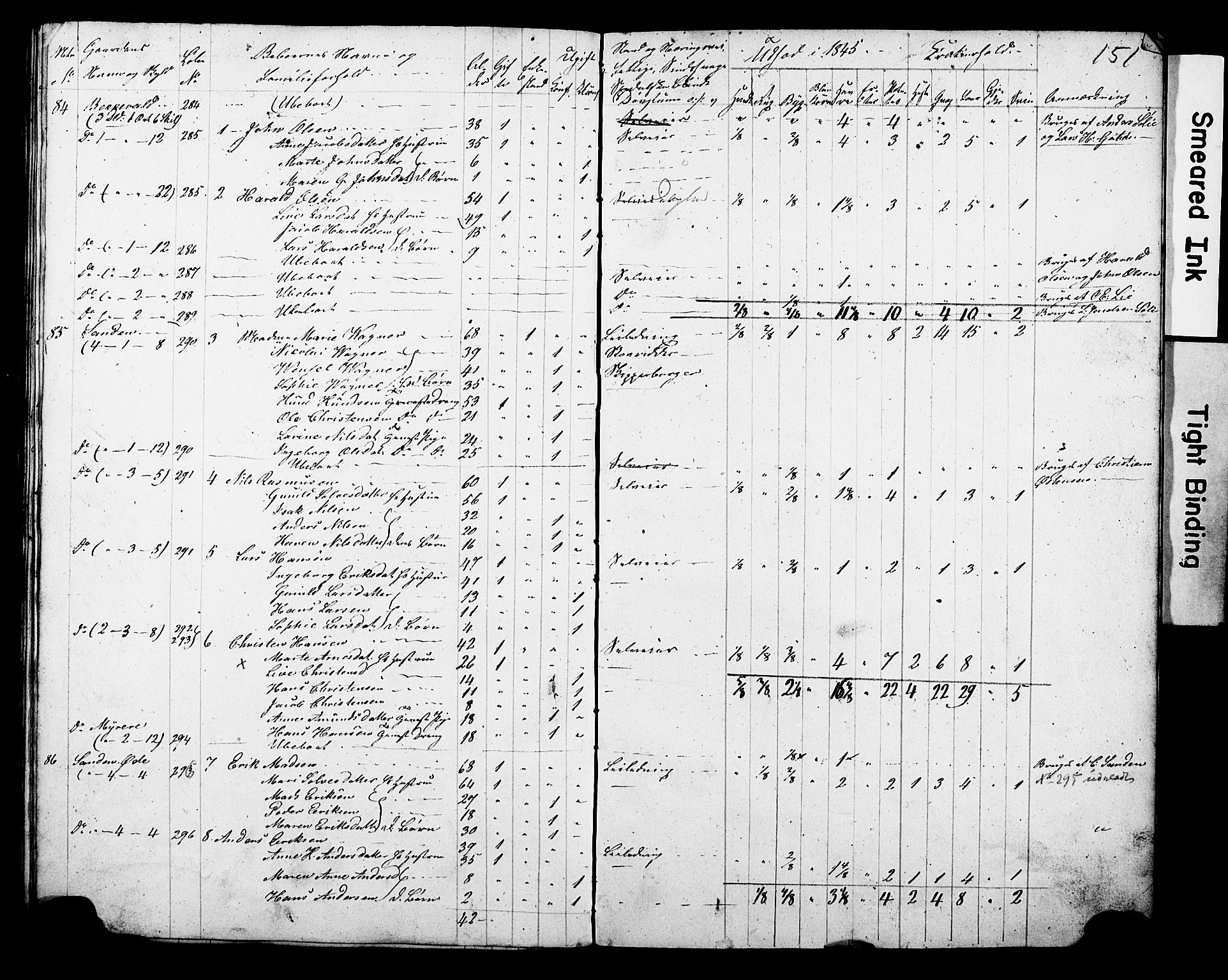 , Census 1845 for Gjerpen, 1845, p. 151
