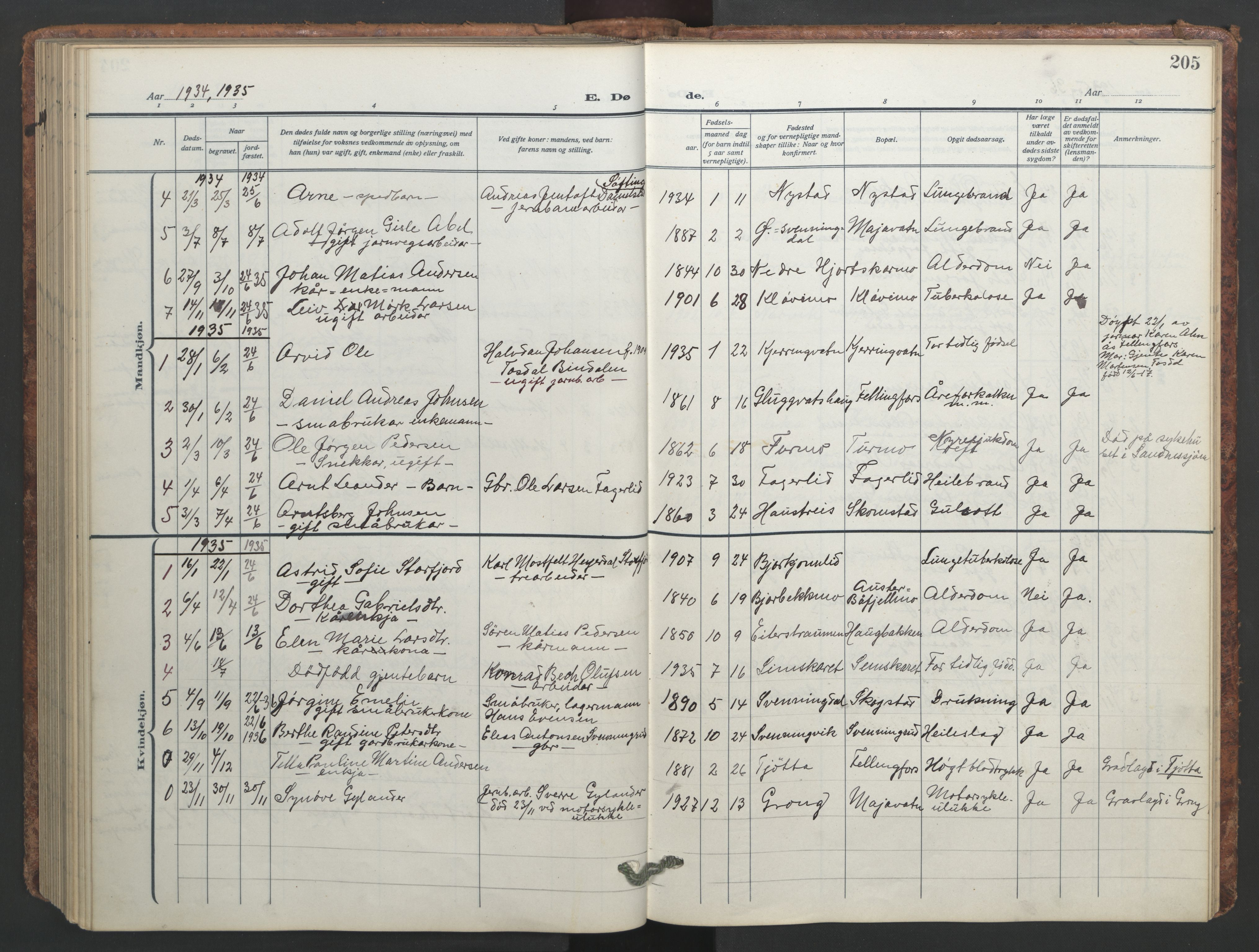 Ministerialprotokoller, klokkerbøker og fødselsregistre - Nordland, AV/SAT-A-1459/824/L0341: Parish register (copy) no. 824C01, 1916-1957, p. 205