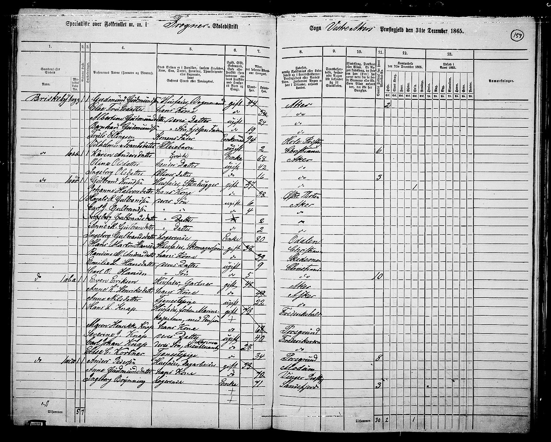RA, 1865 census for Vestre Aker, 1865, p. 322