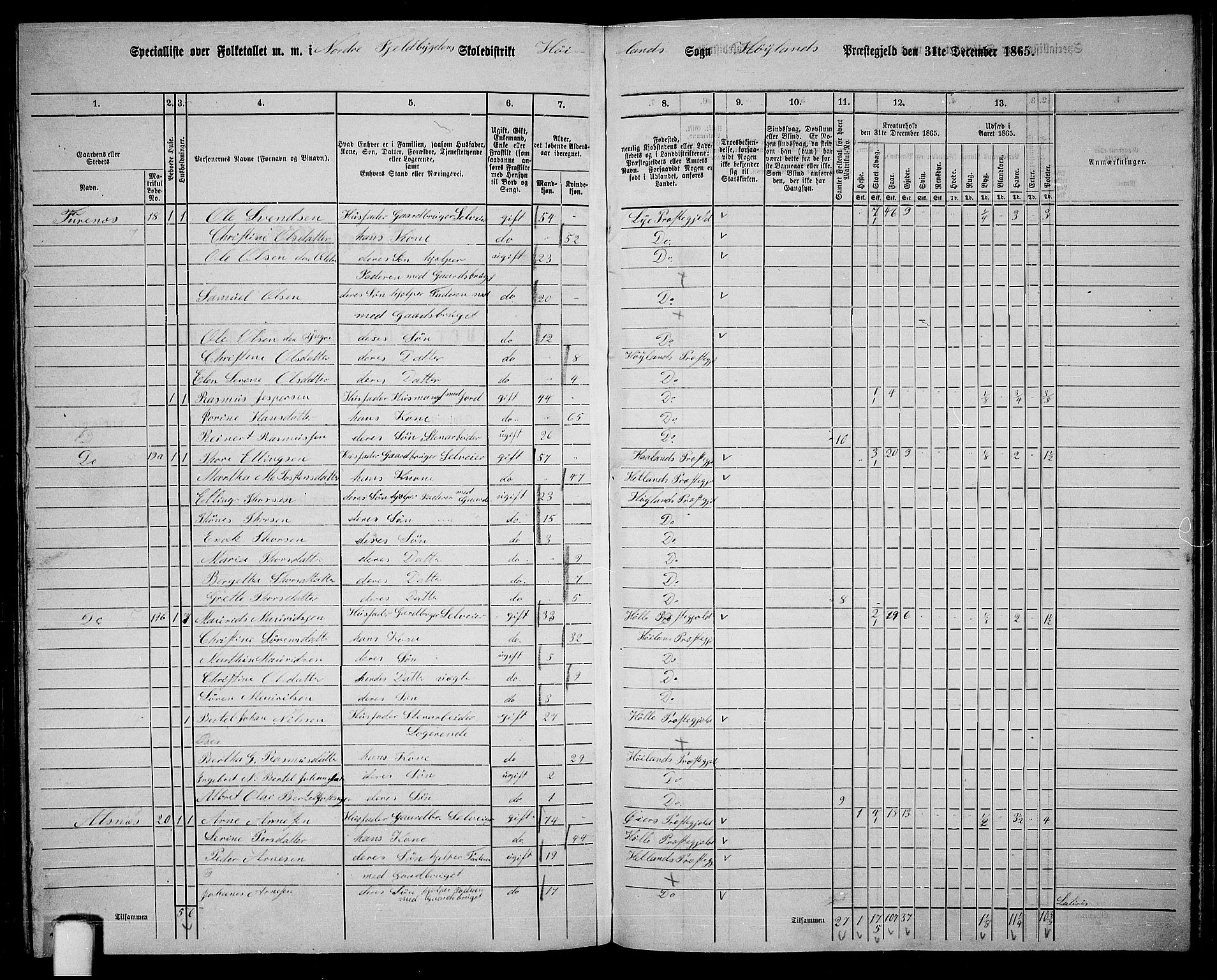 RA, 1865 census for Høyland, 1865, p. 118