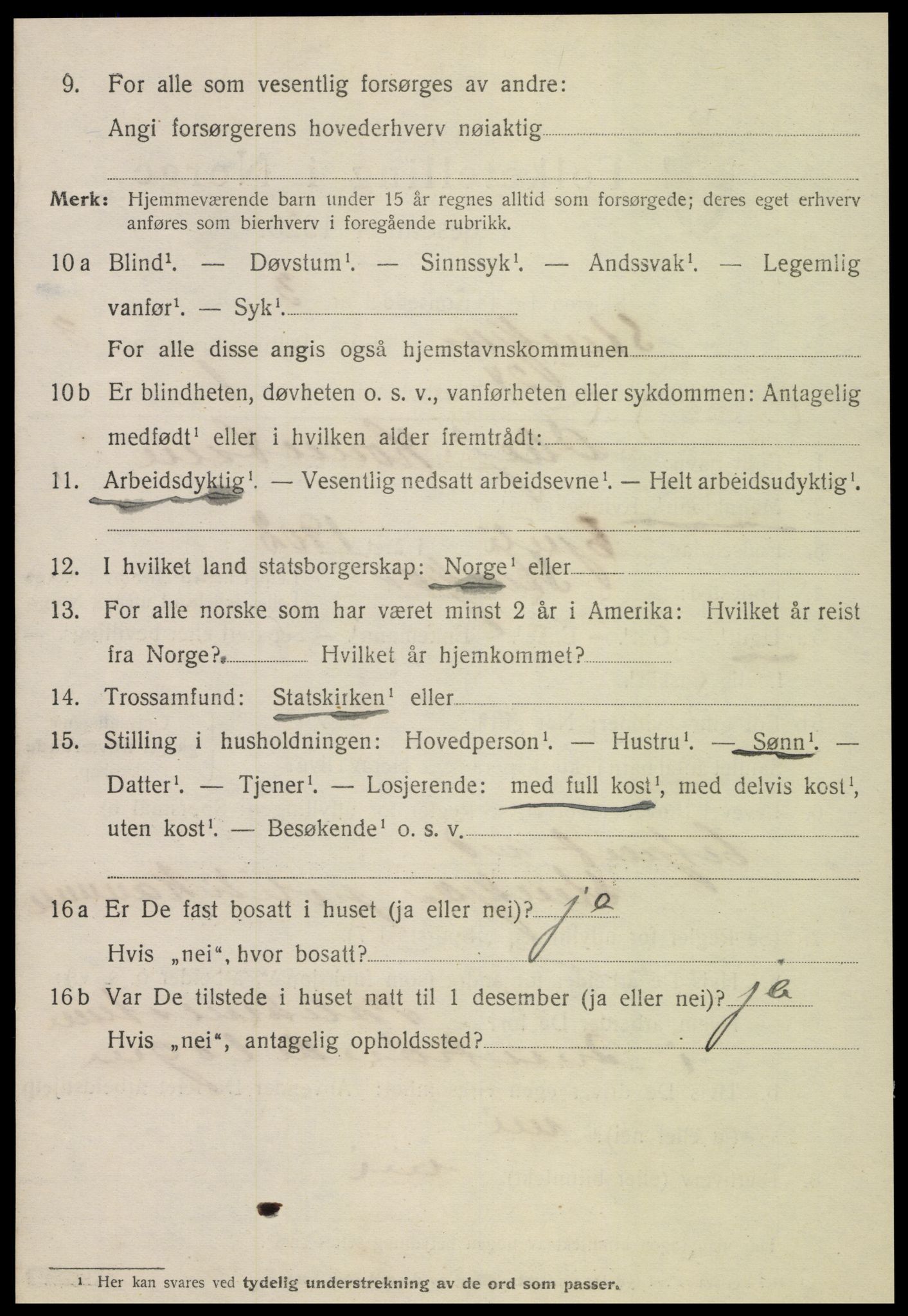 SAT, 1920 census for Steinkjer, 1920, p. 6299