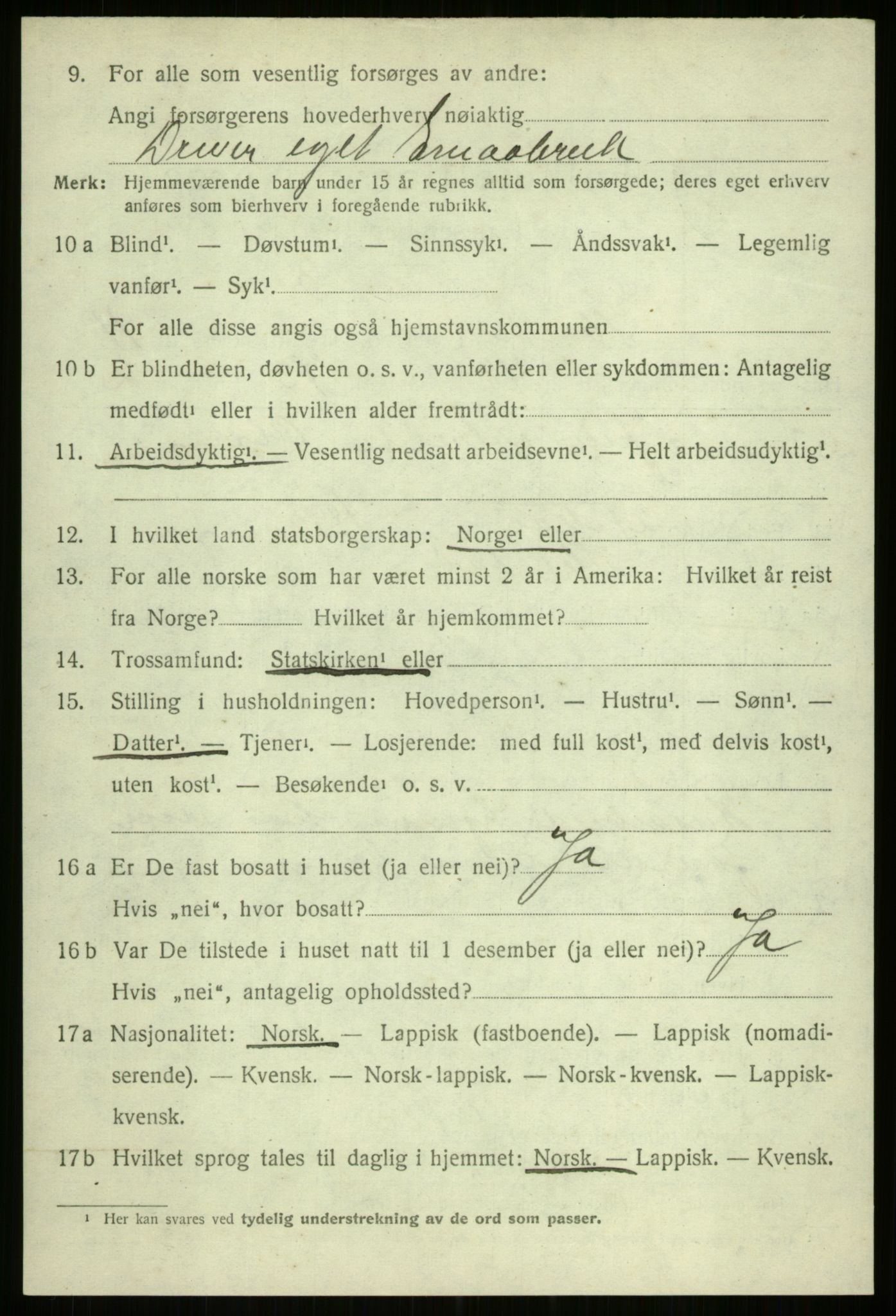 SATØ, 1920 census for Ibestad, 1920, p. 6382