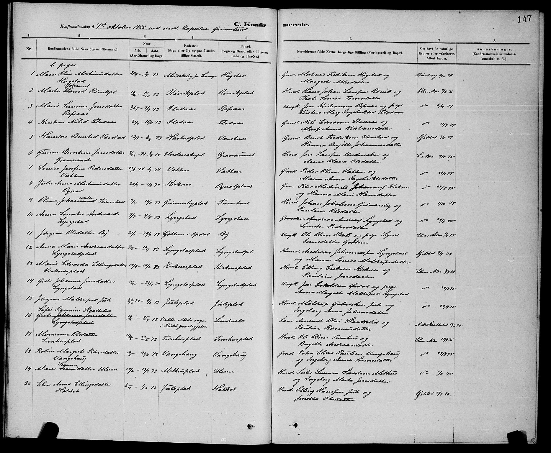 Ministerialprotokoller, klokkerbøker og fødselsregistre - Nord-Trøndelag, AV/SAT-A-1458/730/L0301: Parish register (copy) no. 730C04, 1880-1897, p. 147